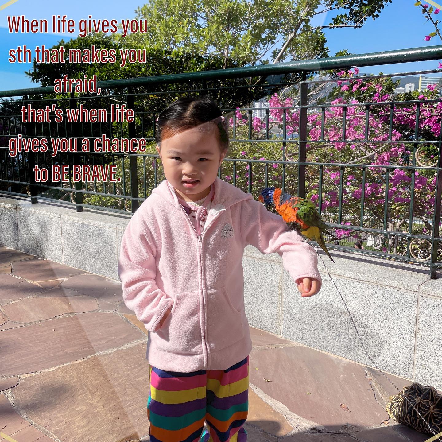 #hailey #quotes #攝影暖爸 #2021Nov #2Y10M #34M