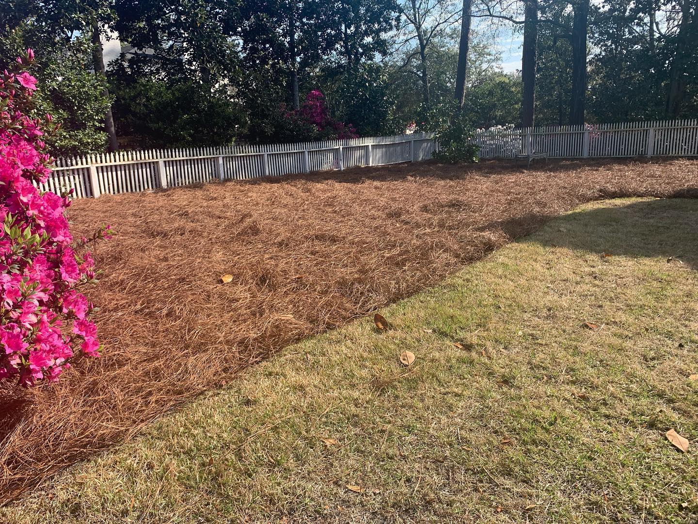 Freshly installed pinestraw and rolled edges makes for a happy client! Call us for any landscaping or maintenance needs!
