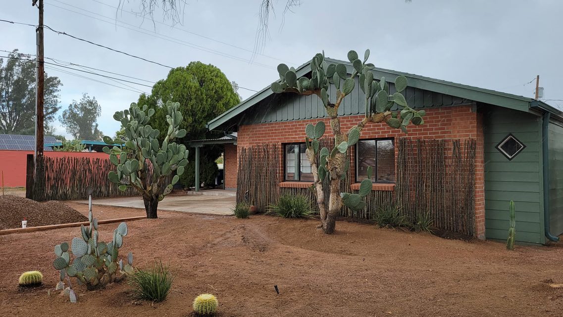 Take your outdoor decor game to the next level with our ocotillo panels🏠🌵
#sonoranocotillo #joshuatree #ocotillofence #livingfence #joshuatreecalifornia #sonorandesert #tucsonaz #phoenixaz #southerncalifornia #desert #desertvibes #ocotilloplant #desertdwellers #desertlife #scottsdale #plantnursery #desertscape #desertliving #desertstyle #fencedesign #desertlandscape #homeandgarden #calilandscape #desertarchitecture #stickfence #ocotillo #fenceideas #desertoasis #deserthouse #desertbloom