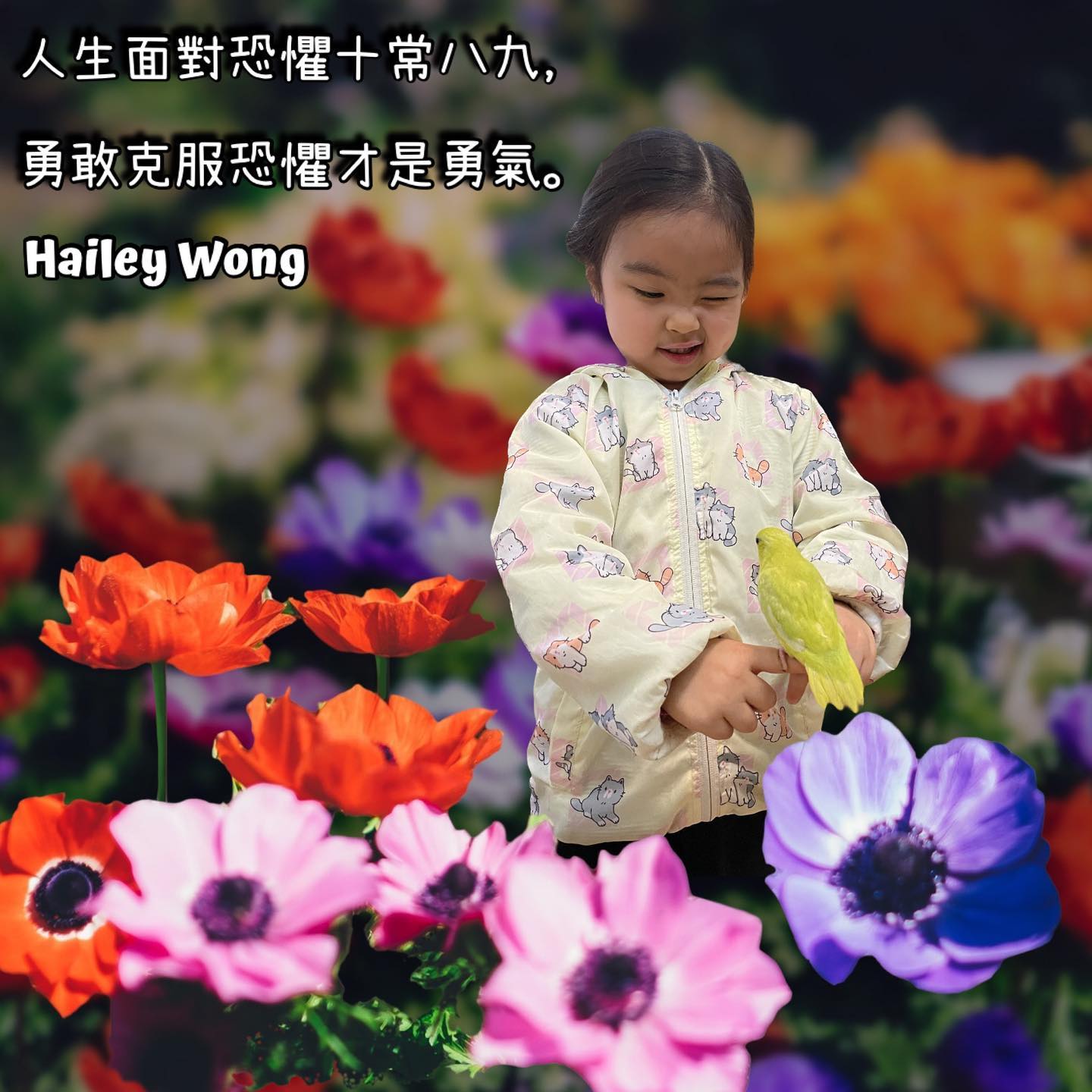 #quotes #hailey #Mar2023 #49M #攝影暖爸