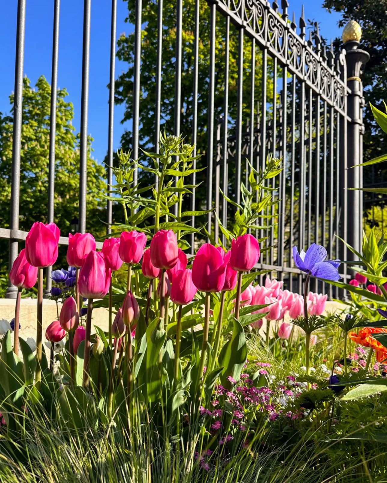 Comme une explosion de joie 😍 #PGV 👑