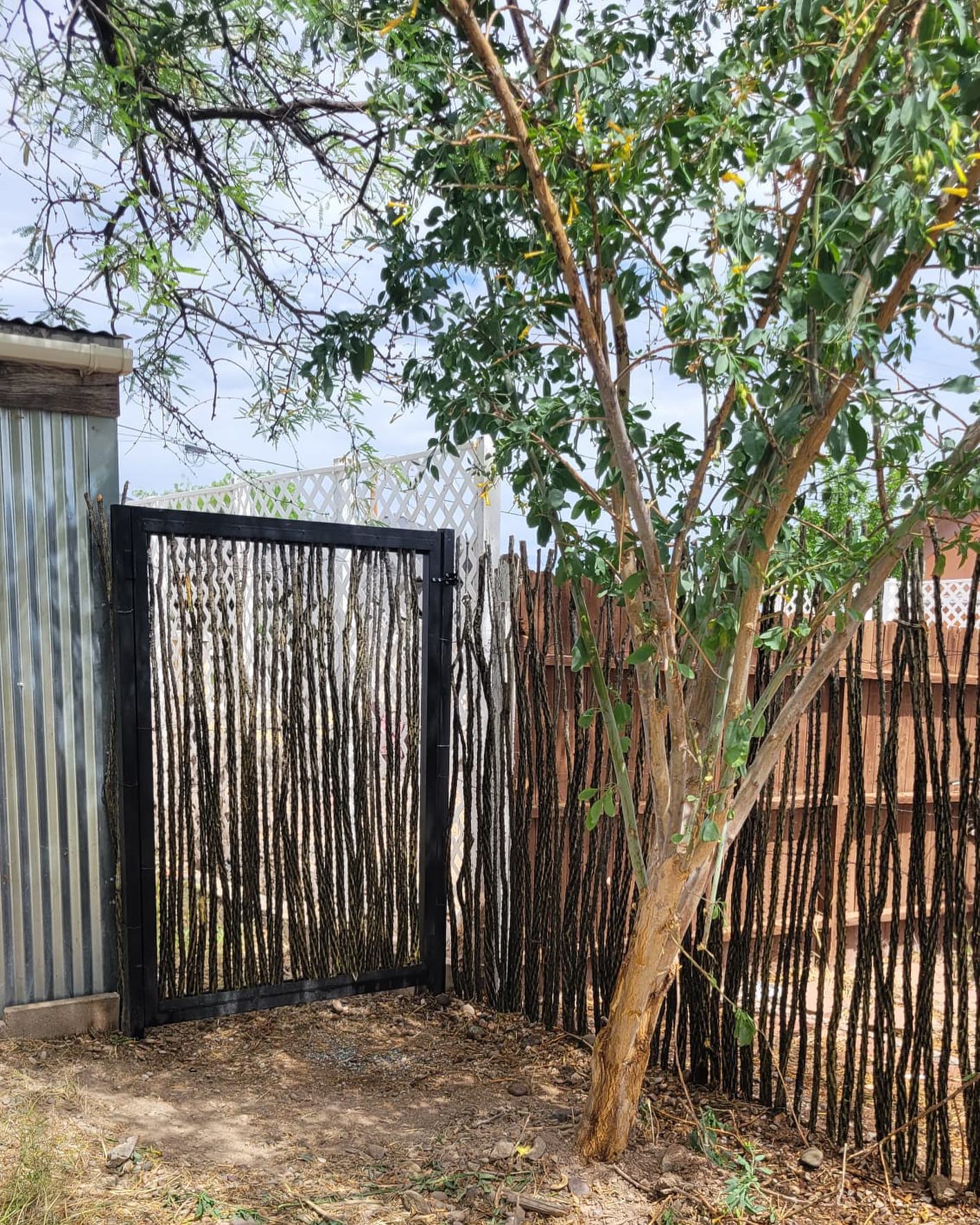 Where the wild meets the artisanal. Ocotillo gates and fences, nature’s touch with a human twist🧡💚
#sonoranocotillo #ocotillofence #livingfence #sonorandesert #tucsonaz #phoenixaz #southerncalifornia #desert #desertvibes #ocotilloplant #desertdwellers #desertlife #scottsdale #plantnursery #desertscape #desertliving #desertstyle #fencedesign #desertlandscape #homeandgarden #calilandscape #desertarchitecture #stickfence #ocotillo #fenceideas #desertoasis #deserthouse #desertbloom #desertgarden #deserthouse #deserthome