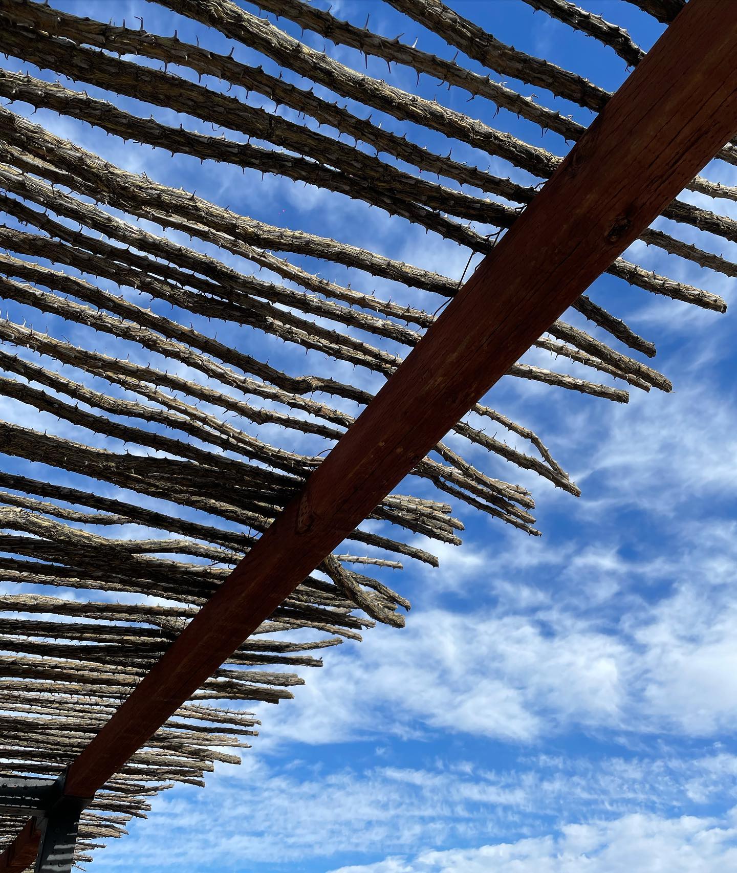 Blue skies through this ocotillo pergola💙
#sonoranocotillo #desertscape #tucsonaz #southwesternstyle #ocotilloplant #rusticpatio #outdoorliving #outdoorspace #backyarddesign #architecture #desertvibes #californiaarchitecture #deserthome #ocotillo #desertlife #backyardinspo #sonorandesert #pergola #cliffmayhomes #patiodesign #desertarchitecture #architecturedesign #desertlifestyle #desertdweller #pergoladesign #pergolas #cliffmay #desertvibes #shadestructure #naturalbuilding #architectdesign