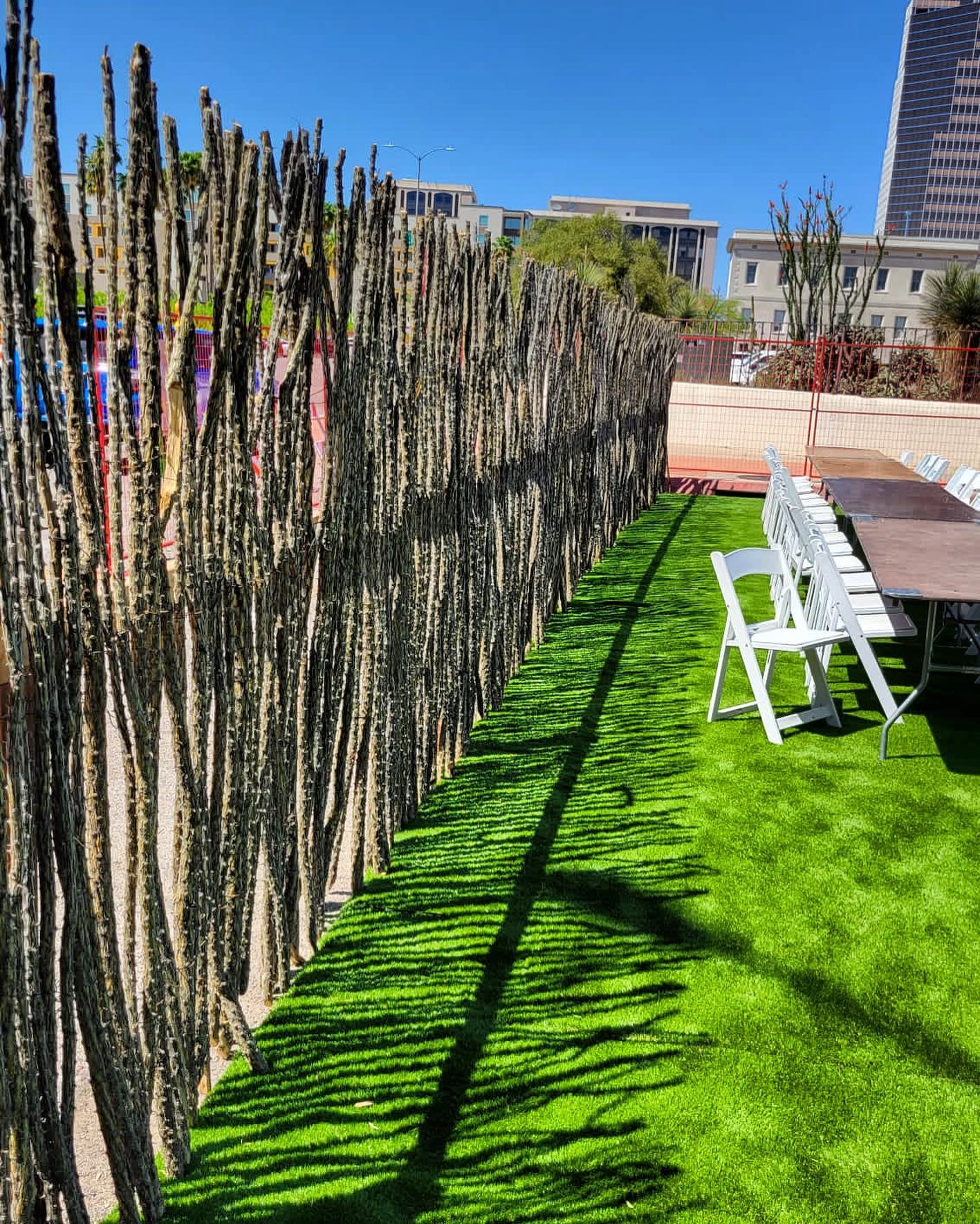 Add privacy to your event with our stunning ocotillo panels🤩🌵
#sonoranocotillo #joshuatree #ocotillofence #livingfence #joshuatreecalifornia #sonorandesert #tucsonaz #phoenixaz #southerncalifornia #desert #desertvibes #ocotilloplant #desertdwellers #desertlife #scottsdale #plantnursery #desertscape #desertliving #desertstyle #fencedesign #desertlandscape #homeandgarden #calilandscape #desertarchitecture #stickfence #ocotillo #fenceideas #desertoasis #deserthouse #desertbloom