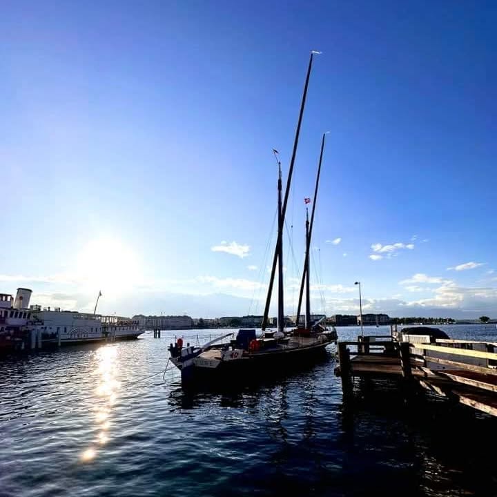 Finalement, l’histoire n’est que celle que tu te racontes 😎 #PGV 👑