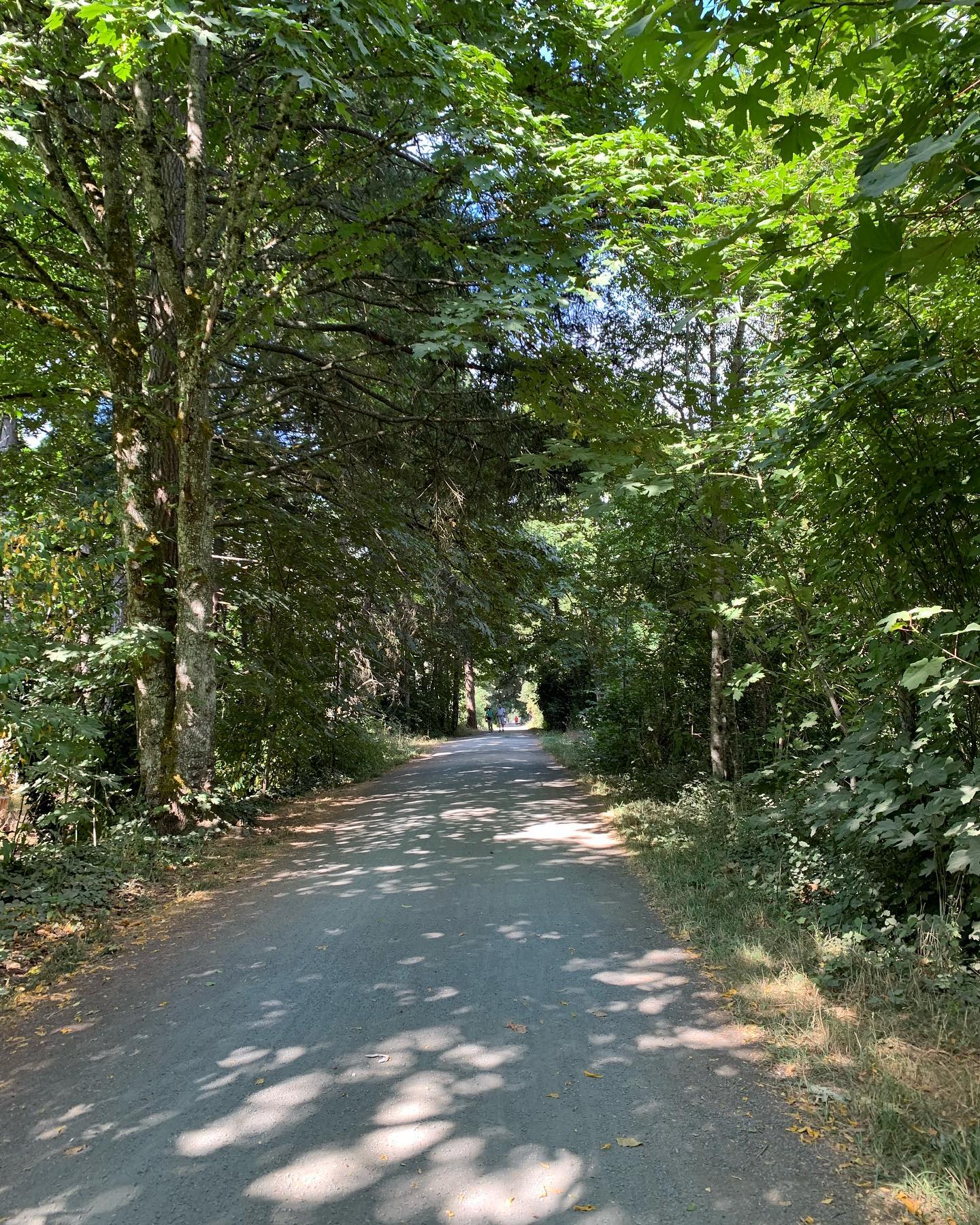 •G O A L S•
Thoughts? Honestly I used to think goals were 💯 great for adopting new habits, and sometimes they are, but they can also easily become a burden without the right planning. In this case, I'm using the goal of running the 8km at the Victoria marathon to increase my weekly activity. I'm starting by slowly increasing my speed and distance (very do-able!) & I'm hopeful to cross the finish line this October ✨. What goals are you considering?
.
.
#counselling #canadiancounsellor #registeredclinicalcounsellor #victoriabc #pnwcounsellor #counsellingpractice #individualcounselling #bcacc #ccpa #RCC #counsellor
#runvictoria #runvictoriamarathon