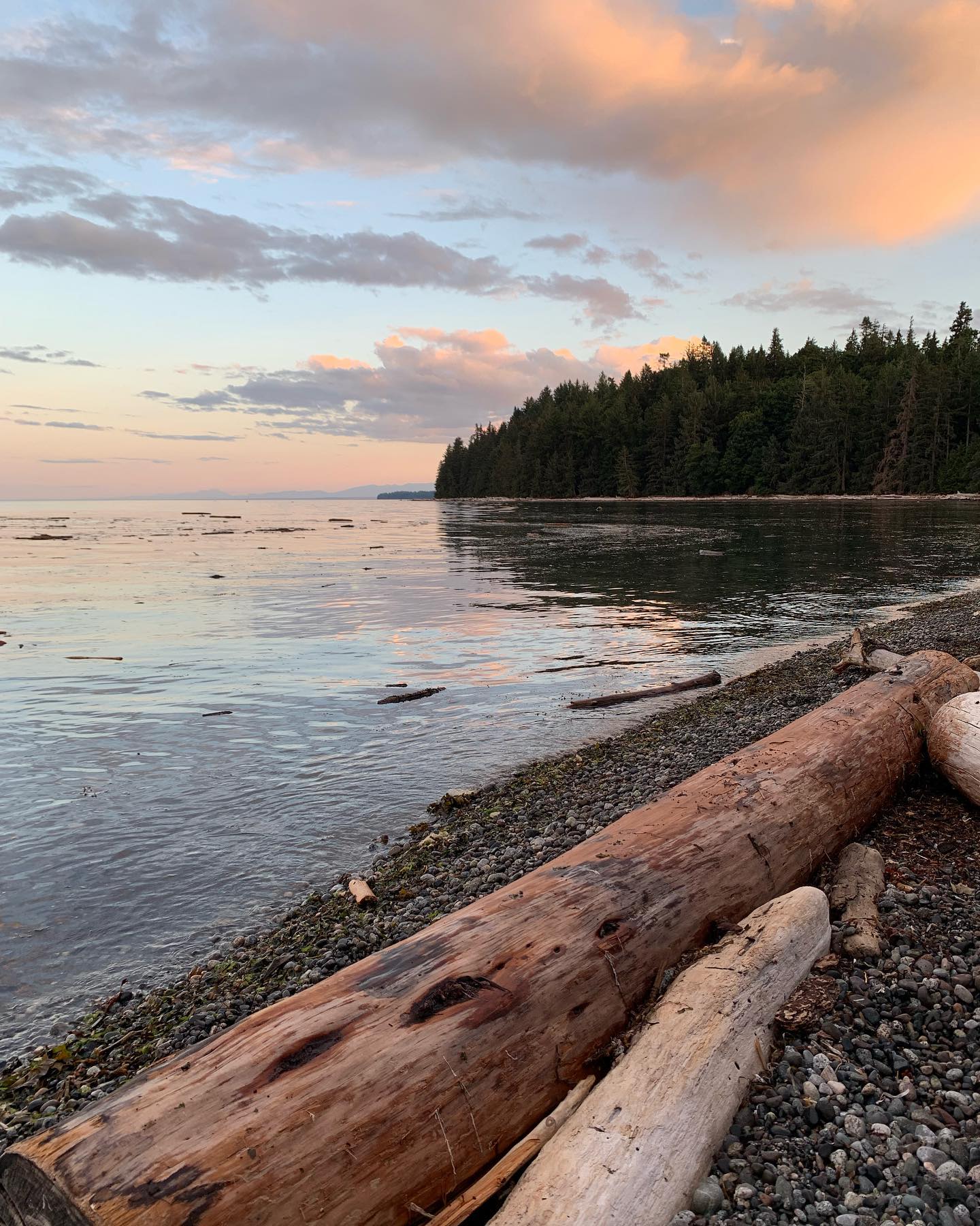•R E S T•
How are you finding some rest this summer? We were fortunate to spend a few nights on Quadra Island with some old friends. It felt amazing to get away for a bit, eat smores and play games. What are your long weekend plans? Getting a chance to rest, recharge and have some fun?✨
.
.
#counselling #canadiancounsellor #registeredclinicalcounsellor #victoriabc #pnwcounsellor #counsellingpractice #individualcounselling #bcacc #ccpa #RCC #counsellor #colwoodcounsellor #colwood #backtobackchiro #westshorecounsellor #therapist #westshorechamberofcommerce
#quadraisland #rebeccaspitprovincialpark