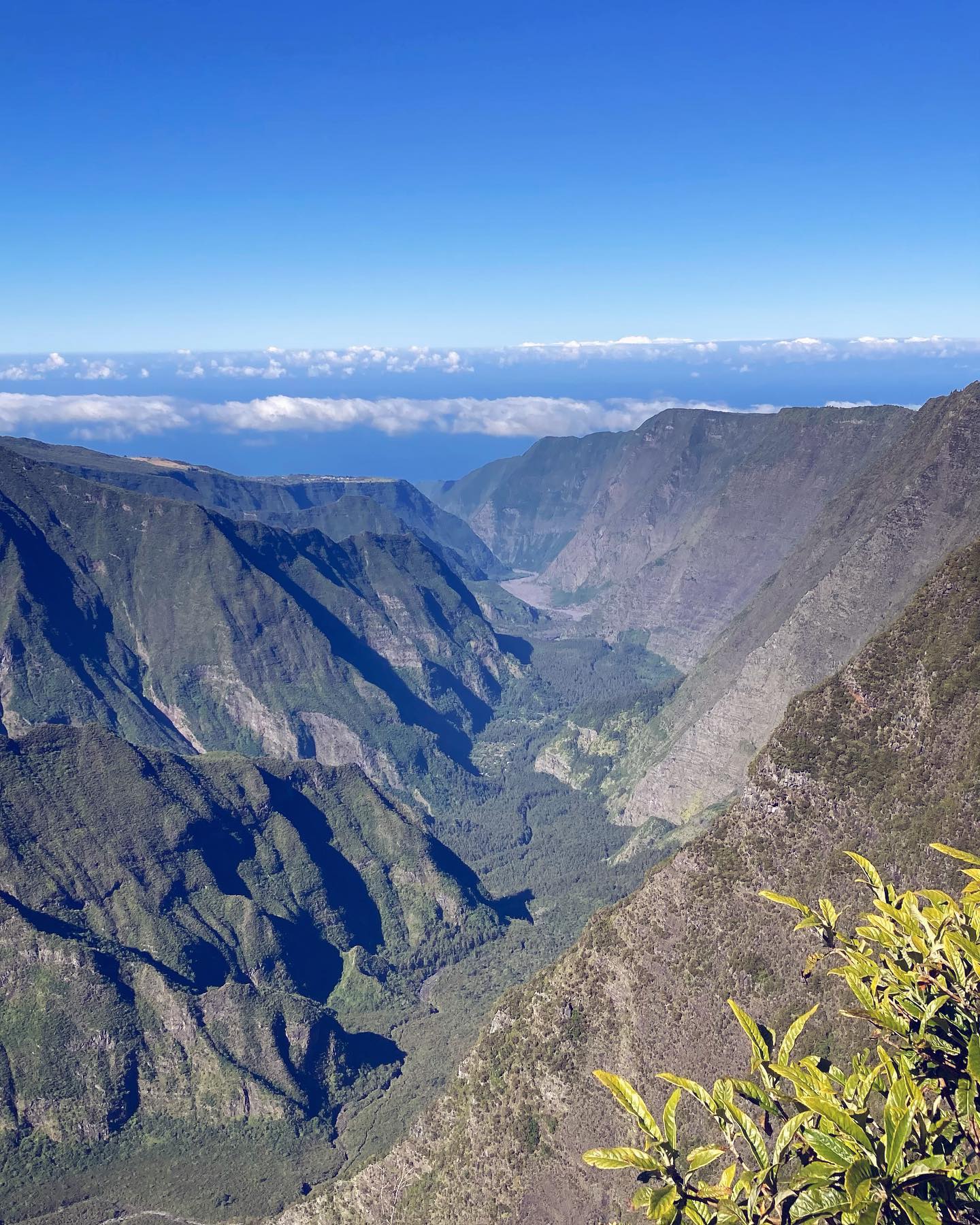 Merci mon île
Nar’trouv 🇷🇪💙