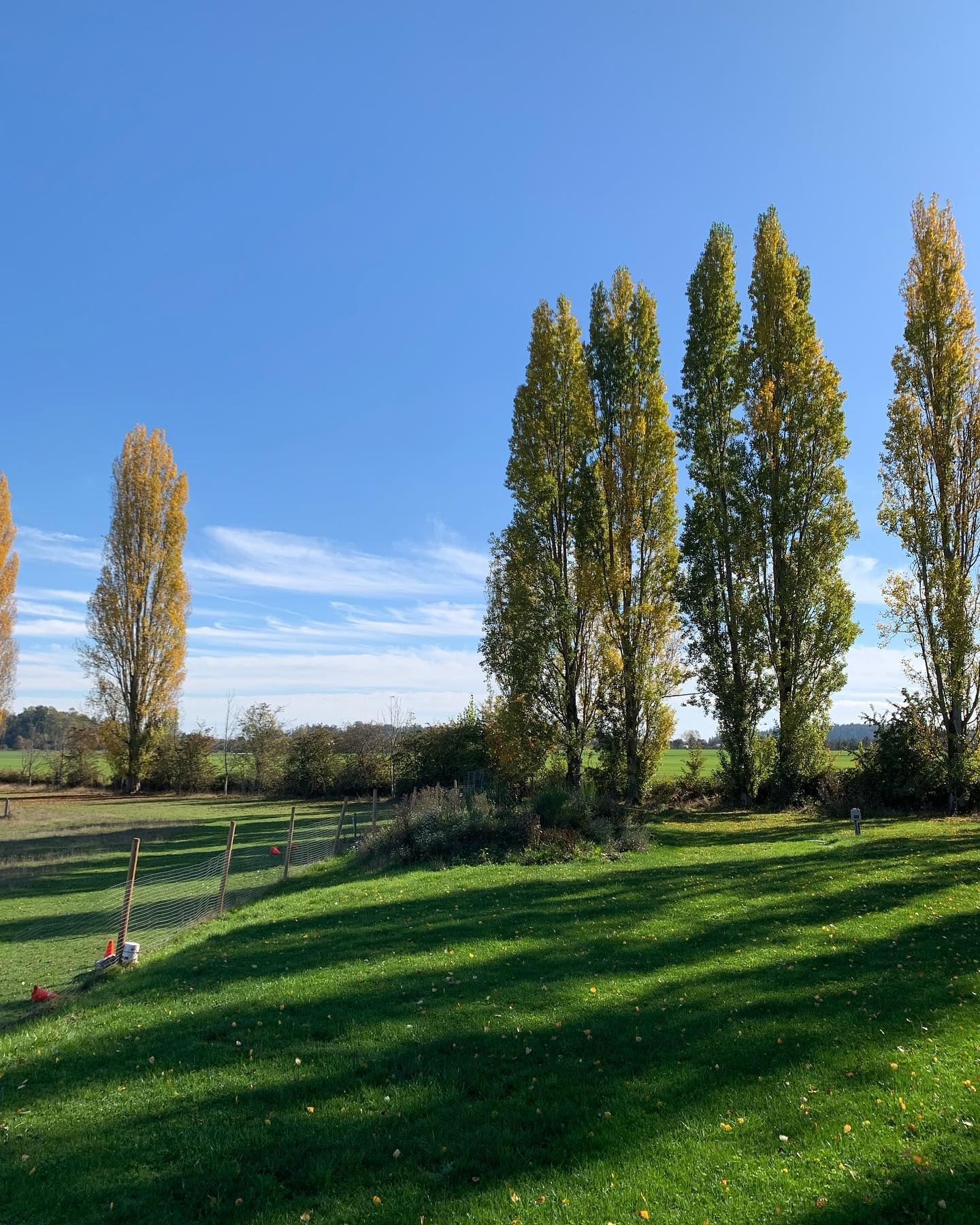 •B E A U T Y•
This photo is too beautiful not to post! I know soon the weather will get colder and there will be less ☀️ and more 🌧, and that's ok. But for now, I'll squeeze out the last bit of sun I can get!
.
.
#counselling #canadiancounsellor #registeredclinicalcounsellor #victoriabc #pnwcounsellor #counsellingpractice #individualcounselling #bcacc #ccpa #RCC #counsellor #colwoodcounsellor #colwood #backtobackchiro #westshorecounsellor #therapist #westshorechamberofcommerce