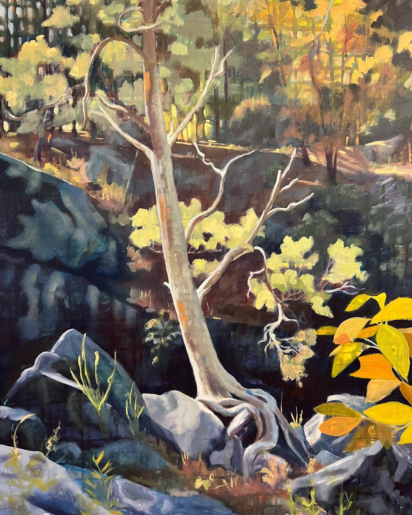 Into the Woods: complex values, shapes and colors.  I was lost, but I was enjoying the adventure!