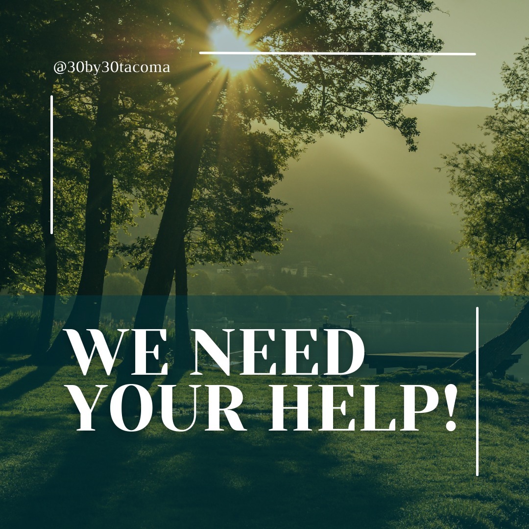 Important city council meetings are happing in early 2024 around the Home in Tacoma Phase 2 plan and it is our opportunity to voice concerns about the tree canopy in our city. Link in bio to sign and feel free to reshare!