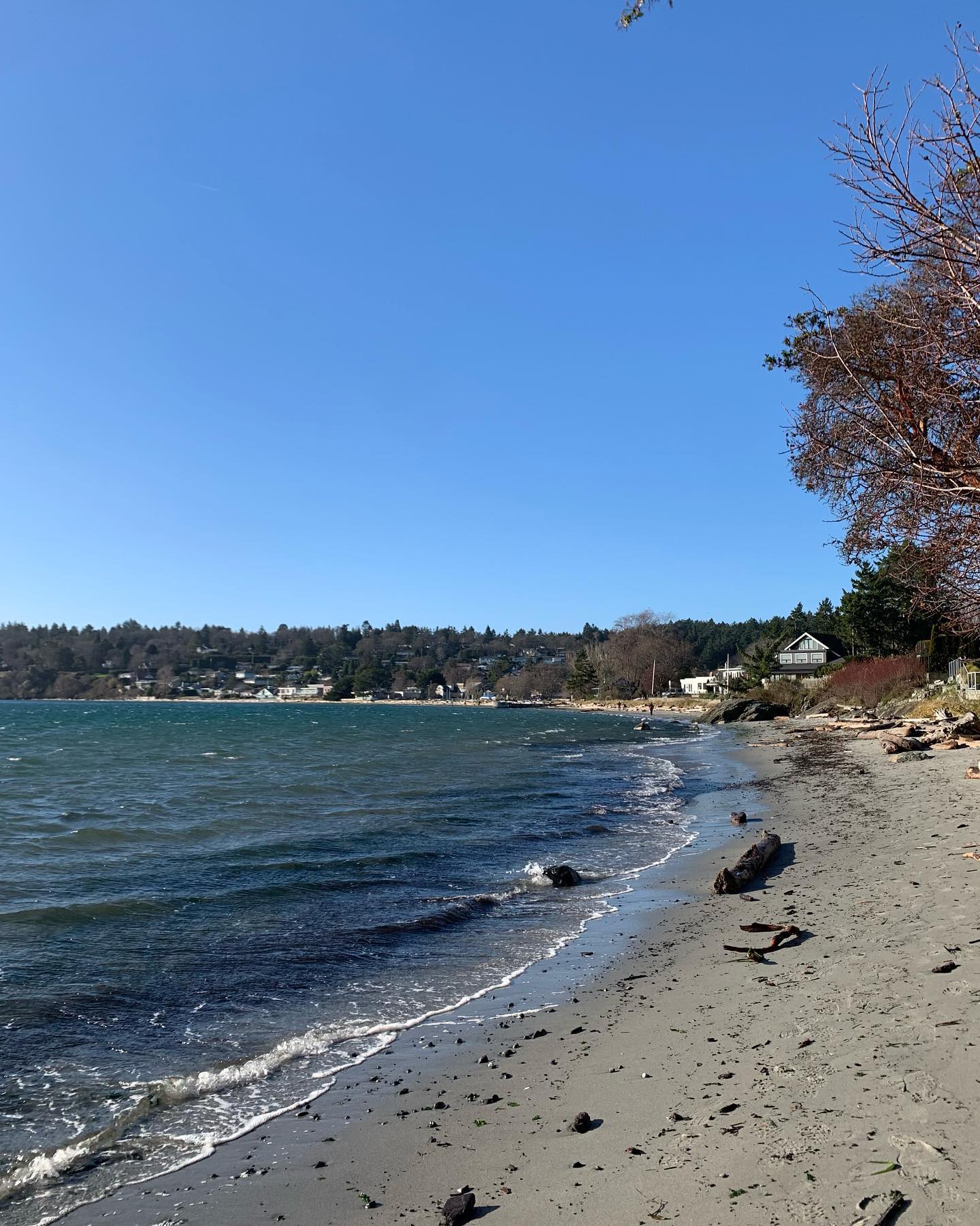 Is it too late to say 'happy new year'!?🥳.
Here's a picture I took yesterday at a verrrrry windy #caddybay. I'm glad my Jan 1st polar bear dip was in a calm (although very cold!) #willowsbeach 🌊
I hope everyone has settled into 2024 and if not, know there is support and people who care. If you need help, it's ok to ask for it ❤️, truly. Everyone needs a little help sometimes.
.
.
#counselling #canadiancounsellor #registeredclinicalcounsellor #victoriabc #pnwcounsellor #counsellingpractice #individualcounselling #bcacc #ccpa #RCC #counsellor #colwoodcounsellor #colwood #backtobackchiro #westshorecounsellor #therapist #westshorechamberofcommerce