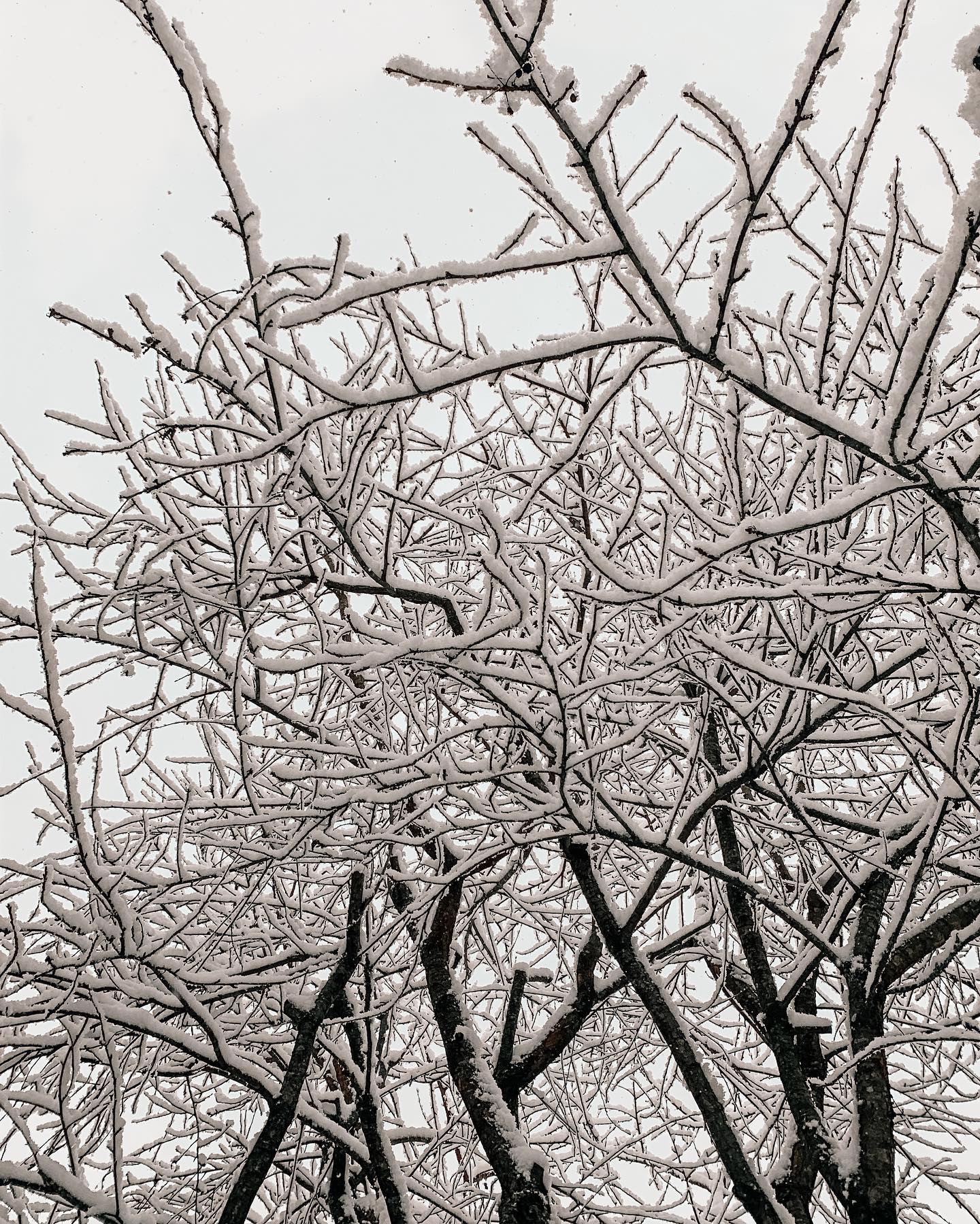 ❄️SNOW DAY❄️
It's days like this I'm especially grateful that I can offer virtual sessions in case clients would prefer to stay off the roads. 😊
In Victoria, a little bit of snow is treated like a lot of snow! I hope everyone can stay safe and warm.❄️☕️⛄️🤗
.
.
#counselling #canadiancounsellor #registeredclinicalcounsellor #victoriabc #pnwcounsellor #counsellingpractice #individualcounselling #bcacc #ccpa #RCC #counsellor #colwoodcounsellor #colwood #backtobackchiro #westshorecounsellor #therapist #westshorechamberofcommerce