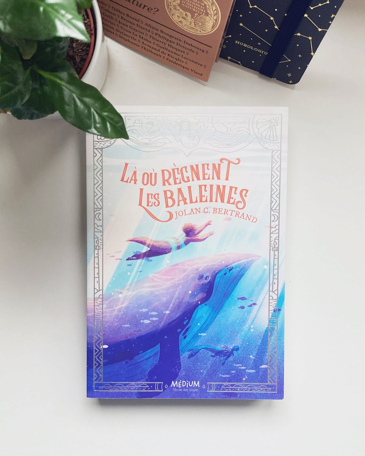 🇫🇷 « Là où règnent les baleines » a un an aujourd’hui ! 🎂
Je suis vraiment reconnaissante de cette belle expérience avec l’ @ecoledesloisirs , qui m’a permis de rencontrer le merveilleux @cjobertrand et Loïc, notre éditeur de choc ! 🥰
On(= Loïc haha!) m’a chuchoté à l’oreillette que vous avez été 12 000 a choisir de mettre le livre sur votre étagère en un an ! Je pense que ça en dit long sur la qualité de la plume de Jolan, merci !
Et merci à tous les lecteurs qui ont eu un petit mot gentil pour ma couverture et mes illustrations 🤍
🇬🇧 Today « Là où règnent les baleines » is one year old ! 🎂
I am incredibly grateful for this opportunity with L’Ecole des loisirs where I’ve met the wonderful @cjobertrand and Loic, our amazing publisher 🥰
I’ve heard (ok, Loic told me haha) that 12,000 French readers have chosen to read our book this year, it says a lot about Jolan’s talent !
Thanks to all readers who had a nice word about my cover and illustrations 🤍
____________________________
Illustrations and cover made with @procreate and @moleskine
____________________________
#ecoledesloisirs #edlromans #bookstagram #bookstagramfrance #livrejeunesse #romanjeunesse #coverreveal #litteraturejeunesse #kidlitart #kidlitillustration #illustagram #illus #thewomenwhodraw #visiblewomen #illustratrice #illustratricejeunesse #illustrationjeunesse #baleine #whale #illustrationhowl #procreateillustration #procreateartwork