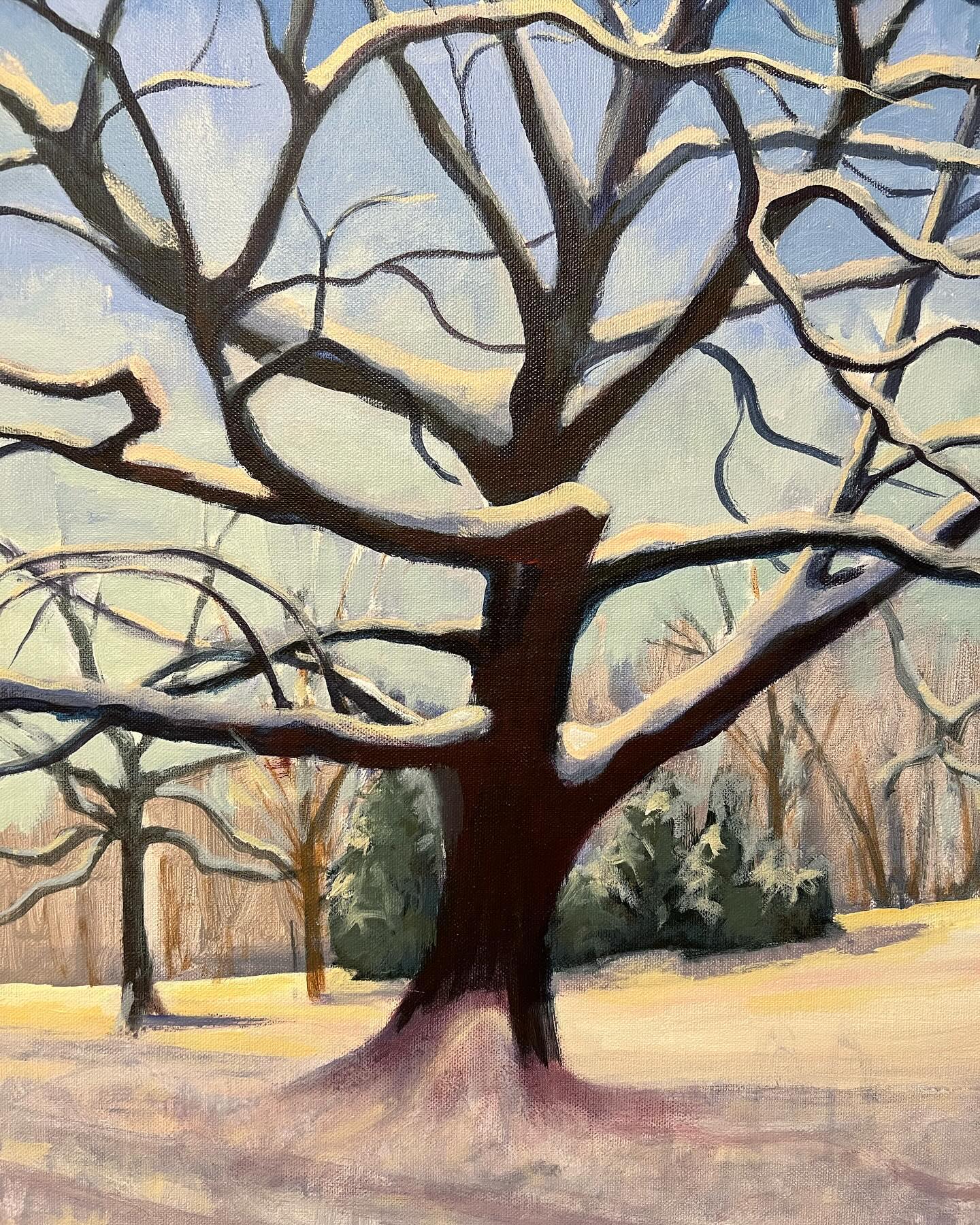 Commission for someone who misses the snow!