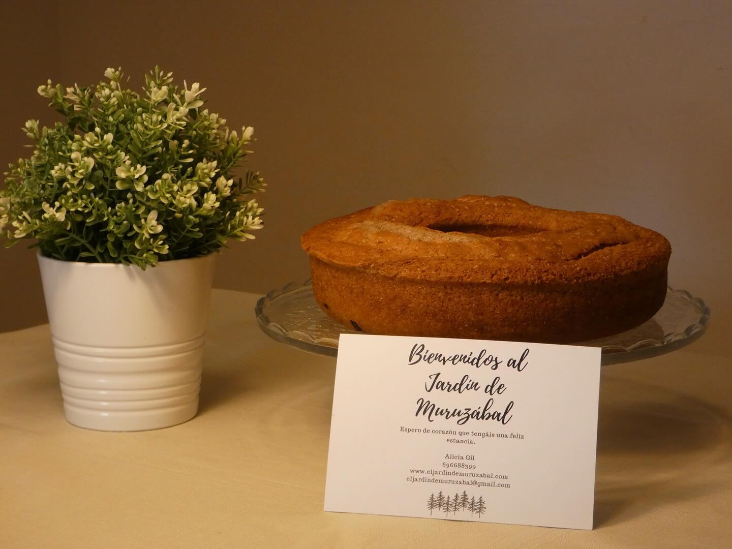 Que mejor bienvenida que un bizcocho de naranja casero 😋✨
#casarural #navarra #turismo #familias