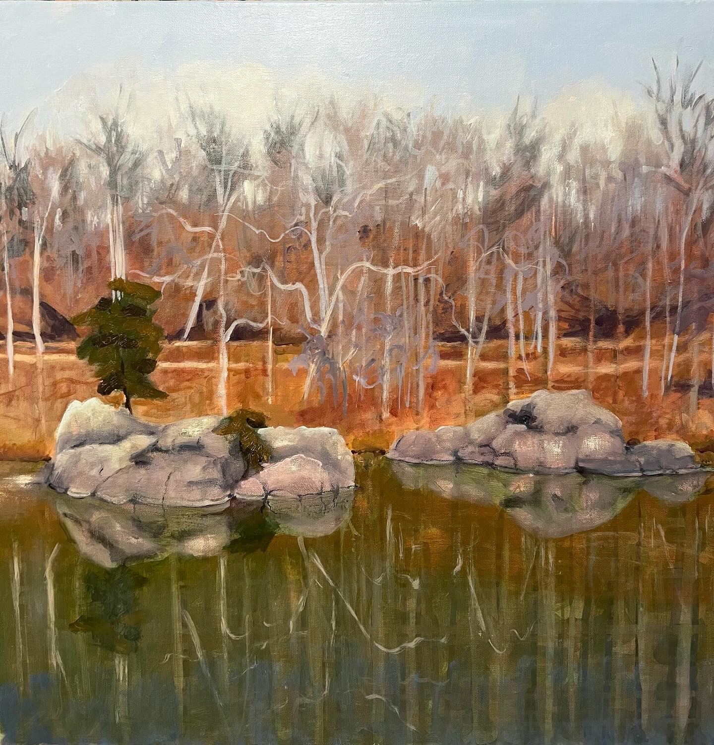 An ordinary still quiet cloudy winter afternoon by Widewater, worth painting!