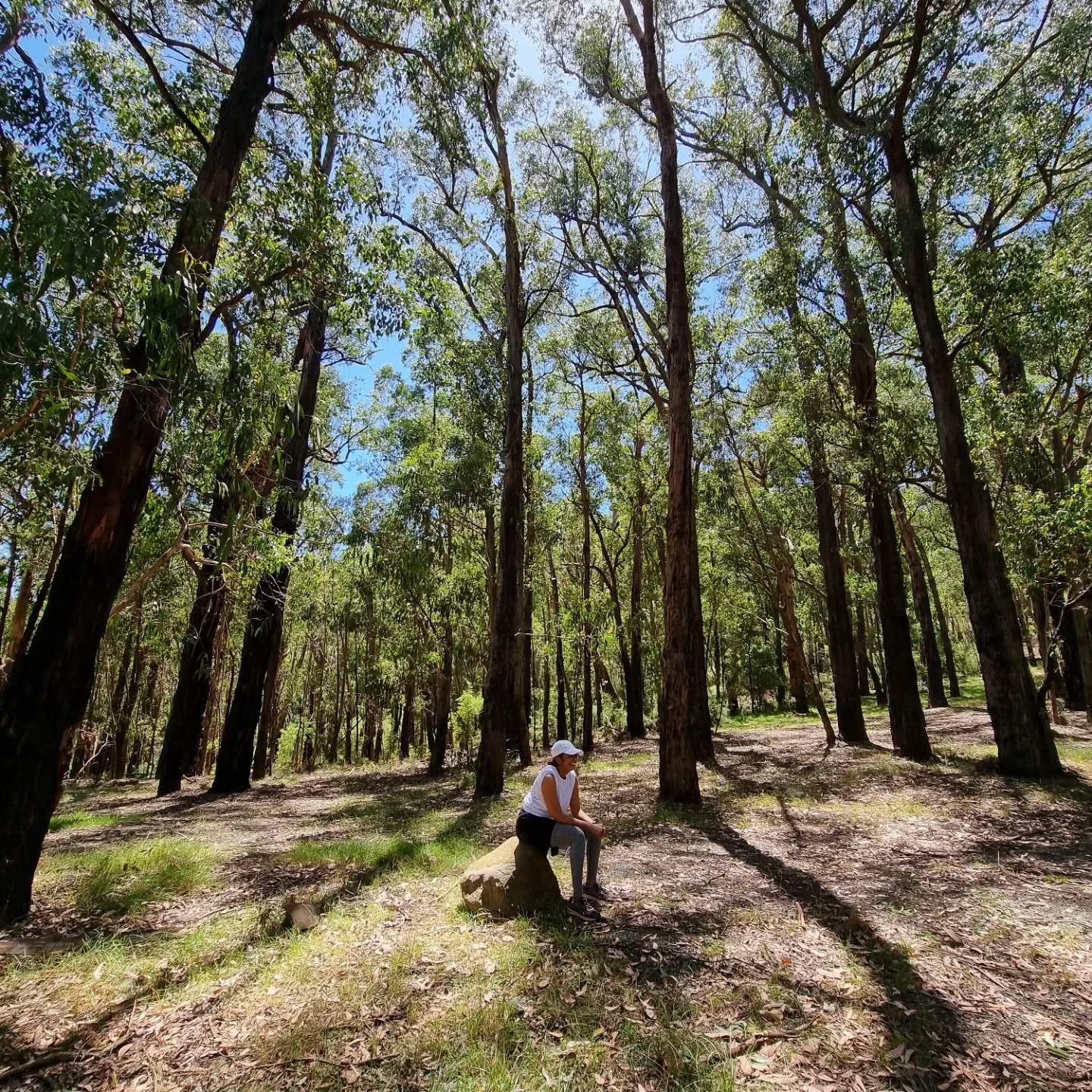 When the human spirit, soul & body aren't functioning in UNITY we struggle to exist in CommUNITY.
.
The evidence of genuine transformation is unity within relationships. If we claim we are well, it is evident on the outside in how we engage, interact, commune, connect, behave, respond, react, navigate or reconcile with each other in our communities - friendships marriage, family, colleagues etc.
.
Where there is disunity within, disunity also exist in our relationships. The first response of the grieved and embittered soul is to disengage and isolate. We call it Self-love. Yet To heal, all healing begins, occurs and is restored within our challenging relationships.
.
Let us know what you think 🤍 or share with someone who is struggling.