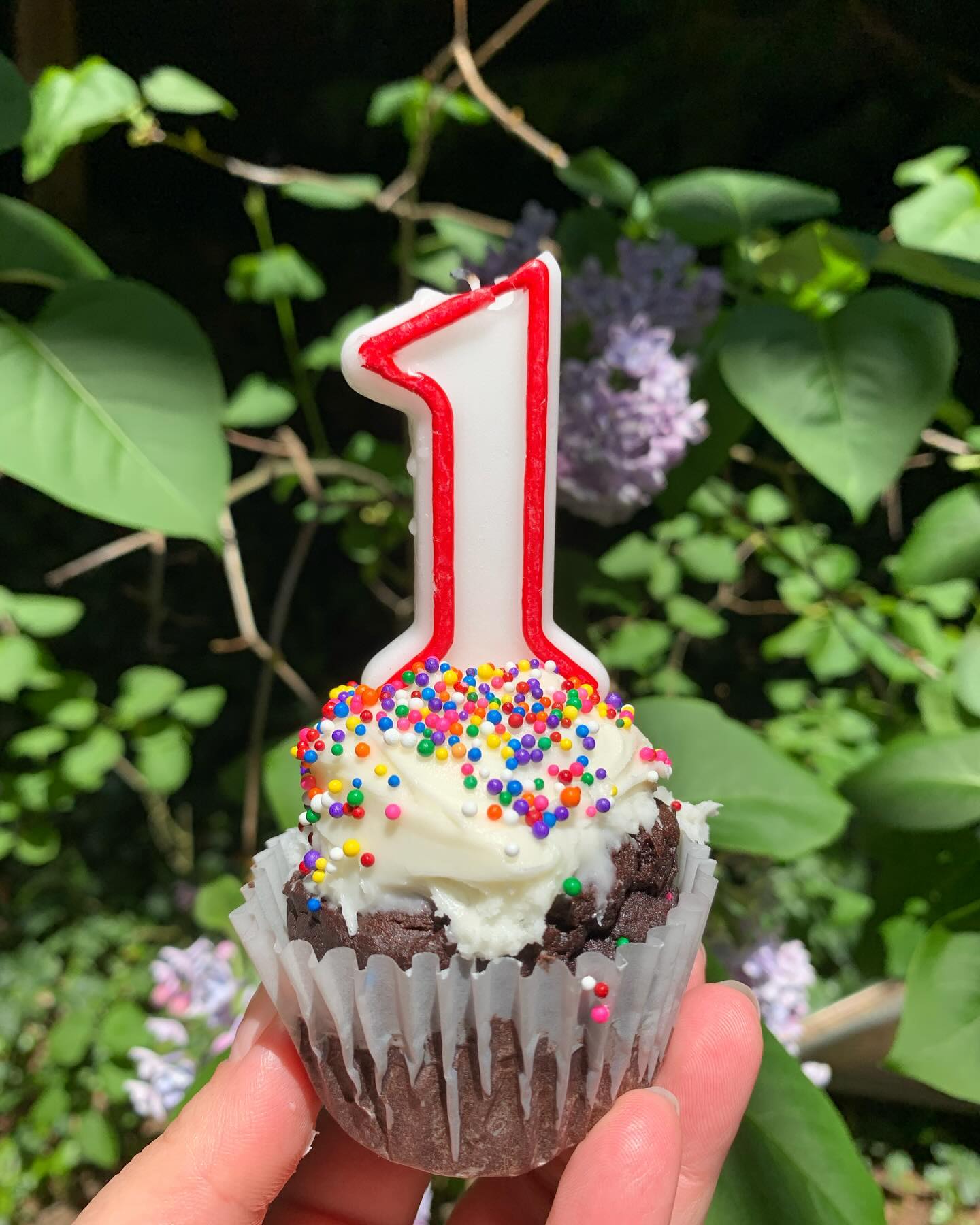 So incredibly proud to do this work!!
DVS Counselling is now officially 1 year old! I am so grateful to everyone who has supported me in countless ways, from sharing my name with a friend, welcoming conversations when I had questions or being one of my amazing clients.❤️thank you❤️
Here's to year 2!
.
.
#counselling #canadiancounsellor #registeredclinicalcounsellor #victoriabc #pnwcounsellor #counsellingpractice #individualcounselling #bcacc #ccpa #RCC #counsellor #colwoodcounsellor #colwood #backtobackchiro #westshorecounsellor #therapist #westshorechamberofcommerce