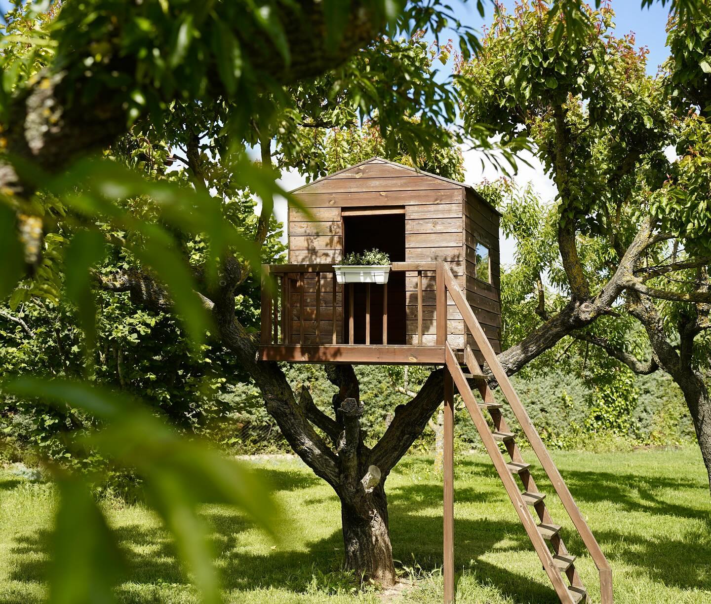 Imaginas a tus hijos trepando por nuestra increíble cabaña en el árbol, riendo y jugando sin parar. Un espacio único donde la diversión está asegurada.
Además, la casa cuenta con amplias zonas comunes, cocina totalmente equipada, jardín y barbacoa para disfrutar de agradables momentos al aire libre. ️
#casarural #navarra #amigos