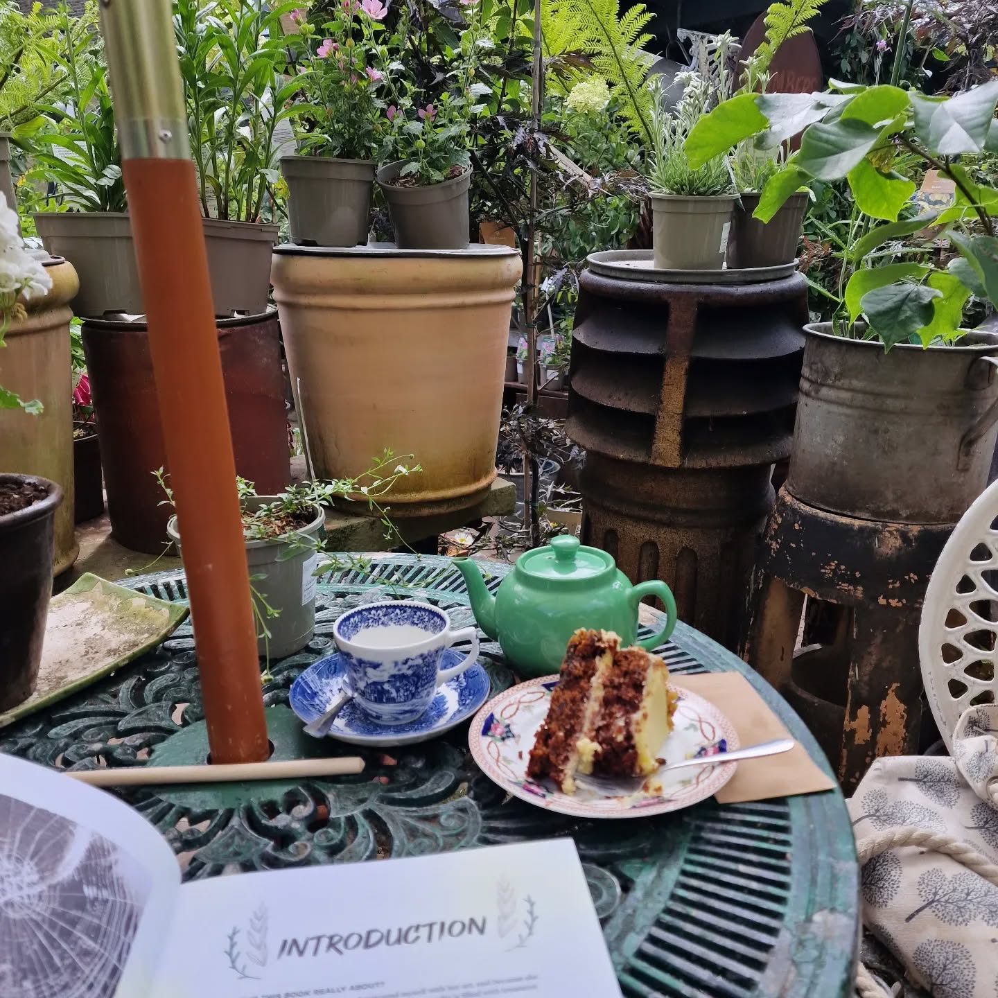 Nature's everywhere! Enjoying a peppermint tea and Carrot cake (it's delicious), whilst planning some activities for forest school sessions next week 😊🌿💚