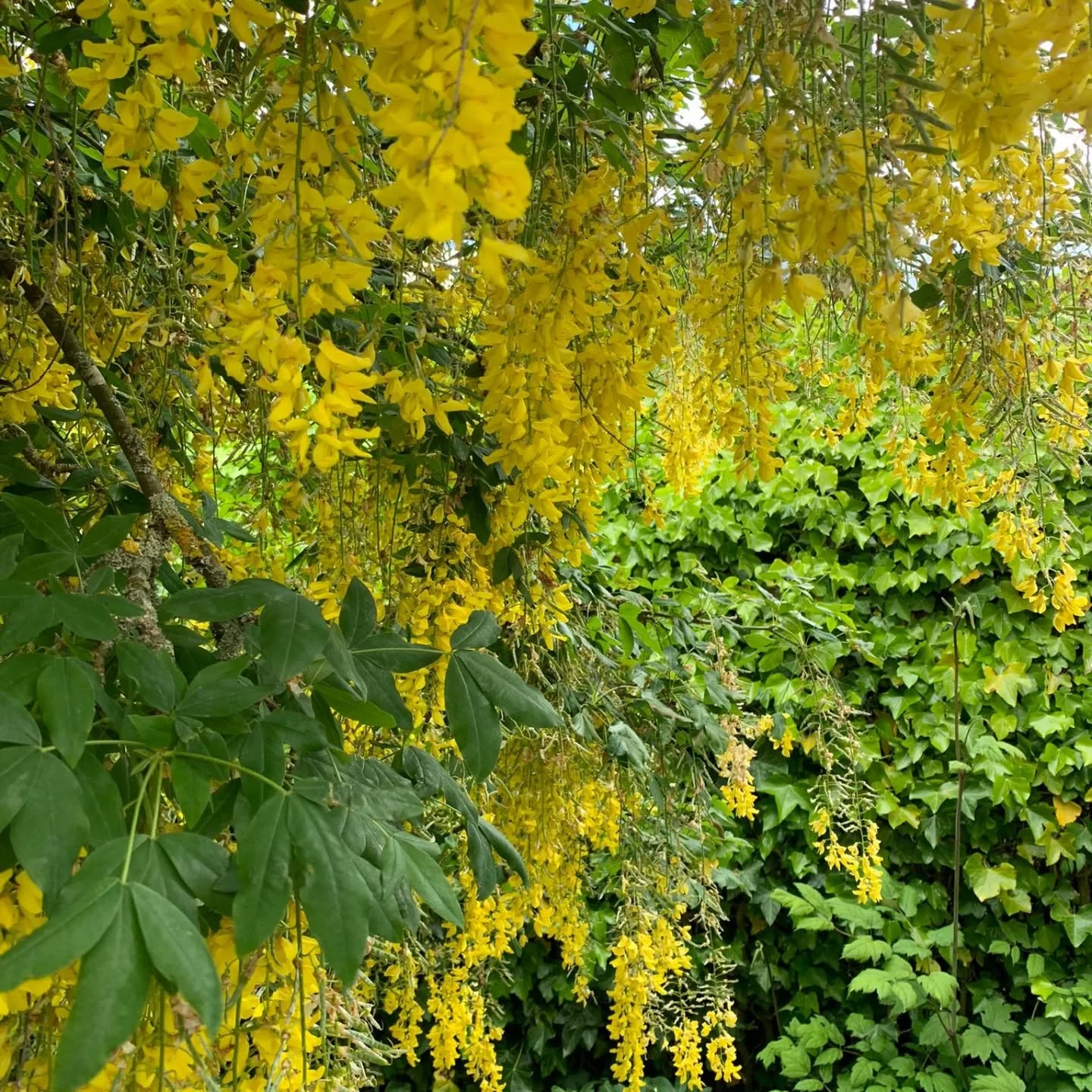 Having fun in the forest!
Stay inspired, create in nature.