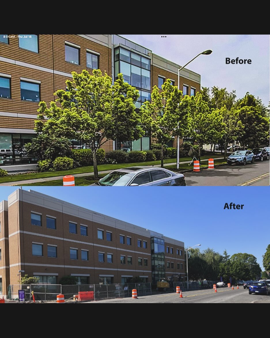 Sadly, this week we saw the loss of two very significant sets of row trees. 6 trees along Division Avenue in front of @multicarehealth and several in front of the ball field at Heritage Middle School @tacomaschools . These tree canopy losses cannot be recovered. If you feel strongly about the need to keep trees in this city, please submit a Tacoma 311 request under the category “Tree Issue.” You can call in (3-1-1) or submit a ticket through the app. Thank you for your advocacy efforts for our city!
#trees #treeequity #treecanopy #30by30 #tacoma