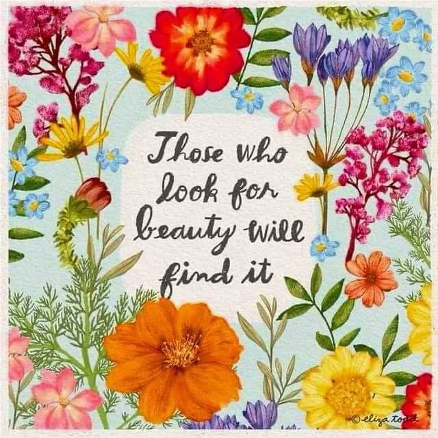 When you step out into nature there are so many beautiful and unique things to see. Take a mindful stroll and see how many beautiful plants, flowers, trees and insects you can see. Nature grows in the most unusual places. Post some photos in the comments.