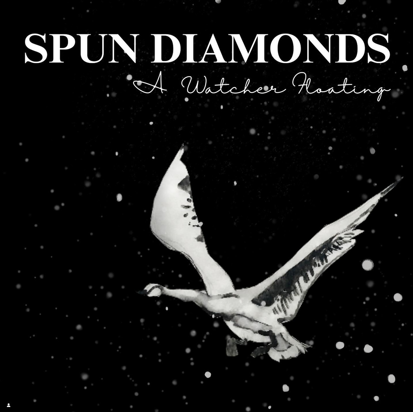 Congratulations on your release - thank you for trusting me to master it 💚 @spundiamonds
(Via @twolarksproductions)