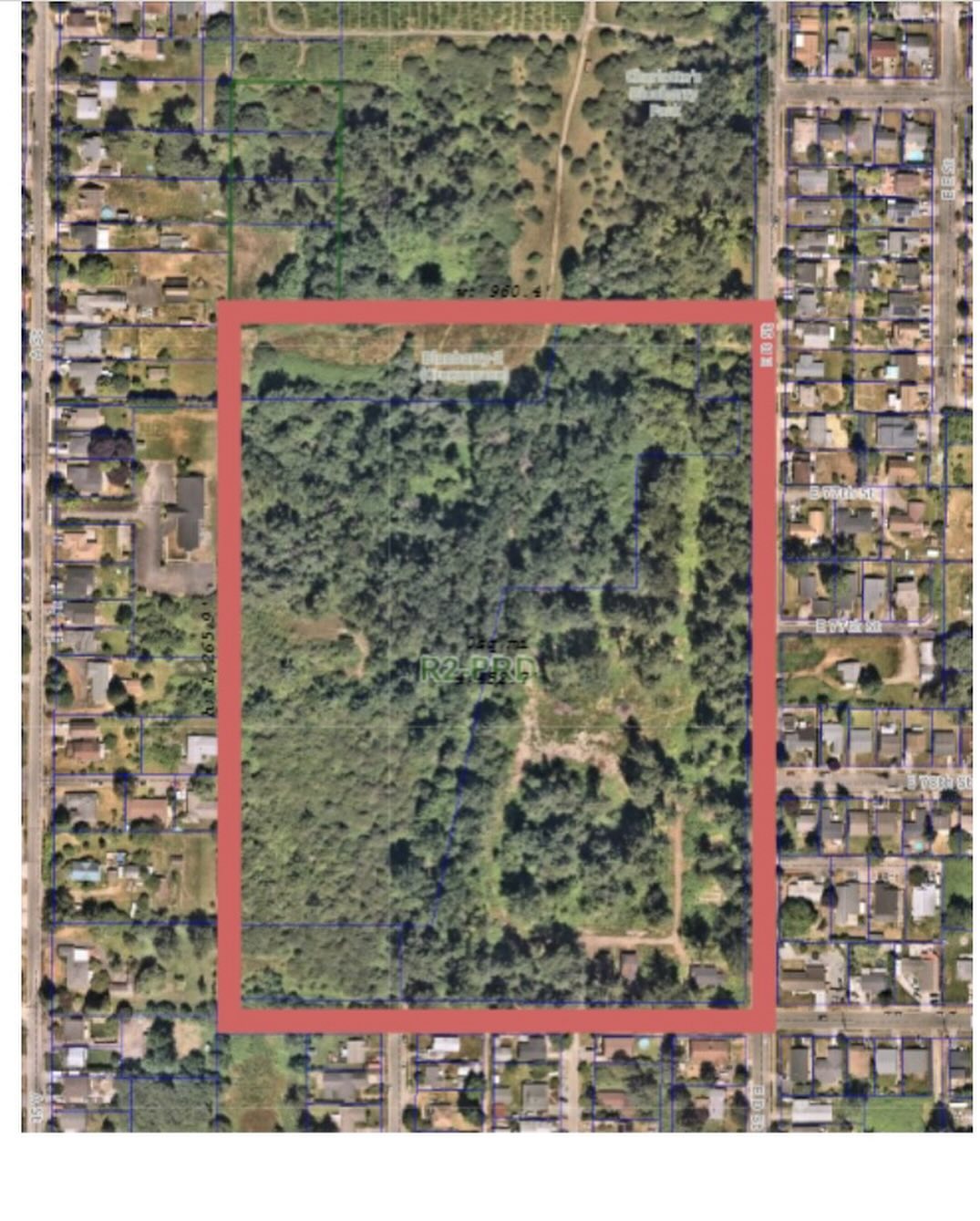 Have you heard about this project? It’s a huge development of above market rate housing next to Charlotte’s Blueberry park off of D street in South Tacoma. We’re all for more housing here, but that housing needs to be AFFORDABLE and needs to benefit the neighborhood. And it needs to balance housing and tree canopy. This new housing development is set to destroy a huge percentage of tree canopy that is in an already low tree canopy area, and to replace most of those trees with tiny stick trees. Want to do something about it? Contact Lharala@cityoftacoma.org and let the city and the developer know that this set of trees are essential infrastructure to this community, that they need to preserve as many trees as possible, and that they need to provide affordable housing options to our community. Public comment due by 5pm on 9/11.