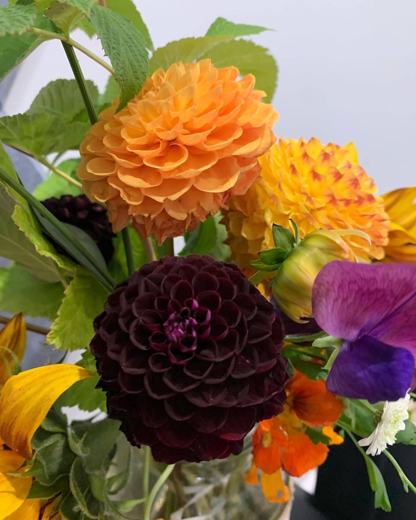 Sometimes it really is the little things that brighten our day. I've been enjoying the seasonal flowers in the counselling room - it just adds a little something 🌻🌼🌷