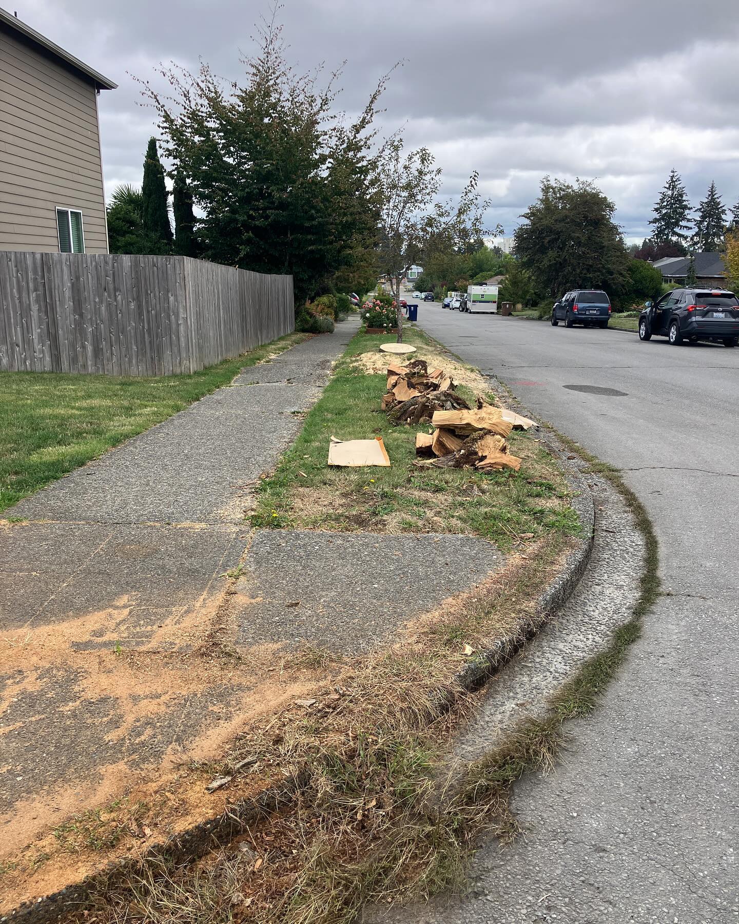 Don’t want to see stumps all over the city? Sign the letter to city council in our bio! (Home in Tacoma Phase 2 Link)
#trees #30by30 #greentacoma #treecanopy #treeequity