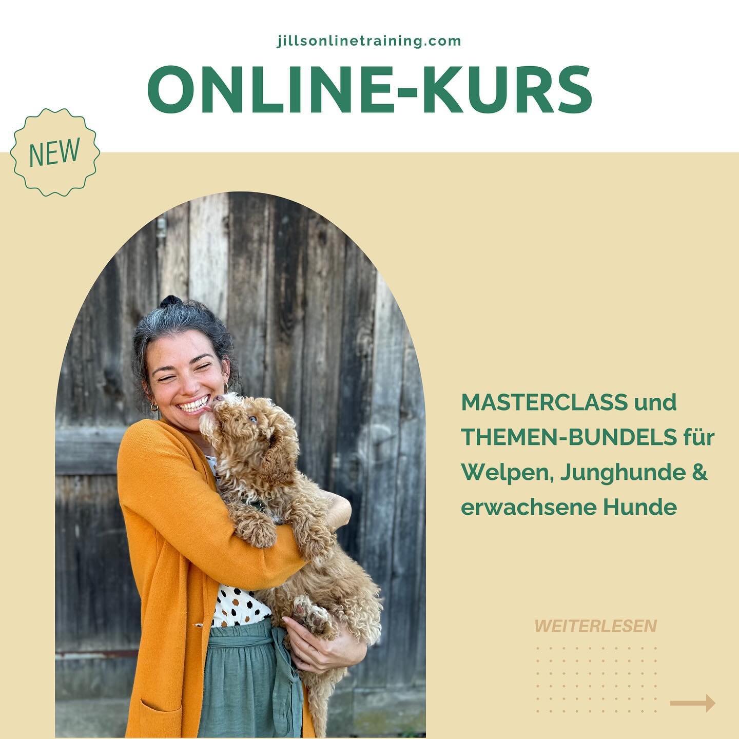Nach 2,5 Jahren Arbeit ist es endlich soweit! jillsonlinetraining.com ist nun online 🥳