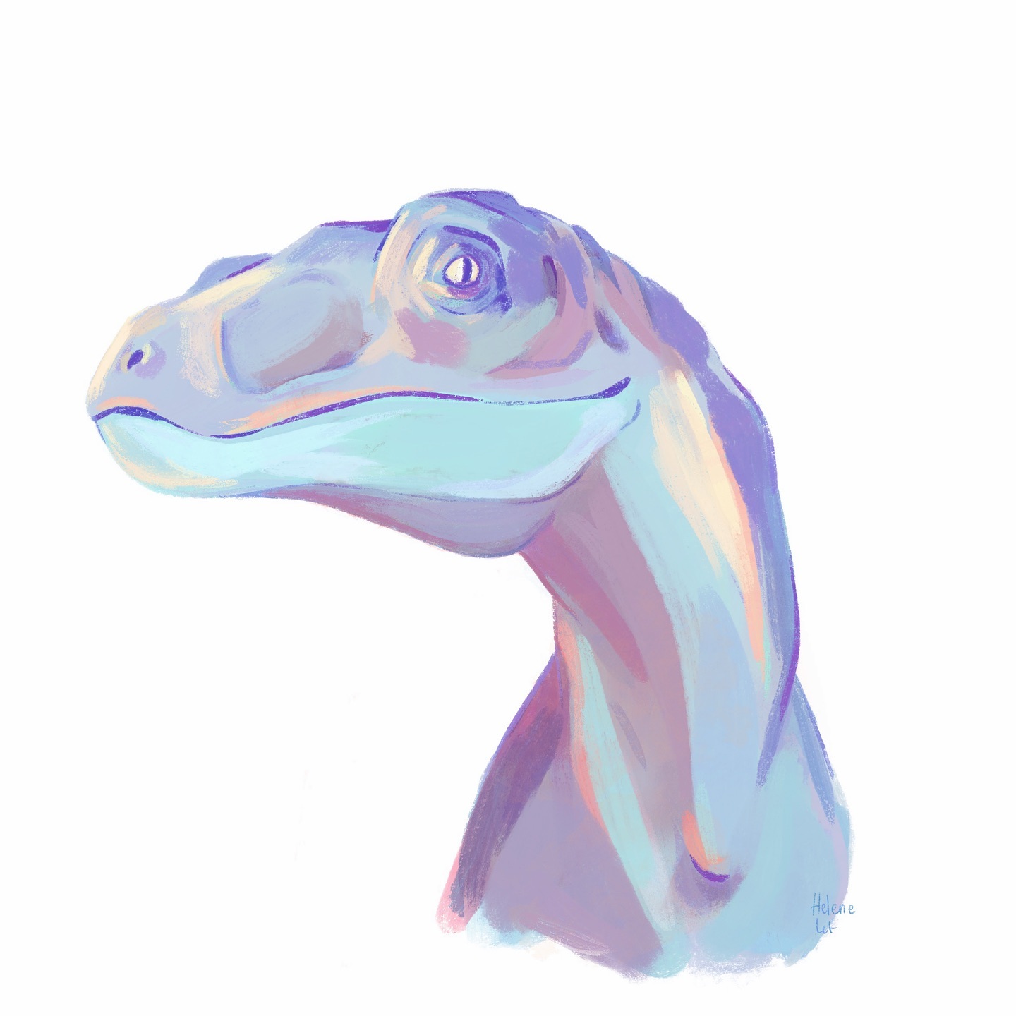 My first entry for the Inktober ! A non-scientific accurate Velociraptor haha ! Indeed this is a very 90’s/Jurassic Park interpretation, we now know velociraptors had feathers (I’ll draw an accurate one)🪶 and were smaller than we generally expect (we often expect them to have a similar size as in Jurassic Park but the film version were mainly based on the Deinonychus which is bigger )
Anyway, I hope you’ll enjoy this first Inktober 🦖😊
________________________________
Made with @procreate for the @inktober
________________________________
#inktober2024 #jurassicart #DinosaurIllustration #velociraptor #deinonychus #dinosaur #dinosaurart #paleoart #paleoartist #jurassic #jurassicpark #scienceillustration #scienceillustrator #mnhn #naturalhistory #naturalhistoryillustration #museumofnaturalhistory #scicomm #vulgarisationscientifique #dinoctober #dinovember