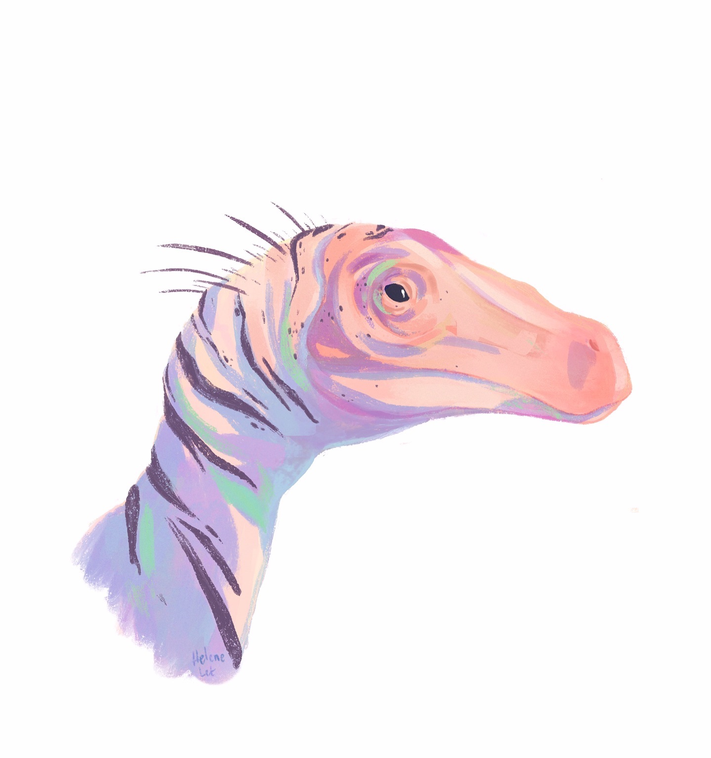 Hello there ! Here is a second velociraptor for the Inktober (still non-scientifically accurate but at least I drew a kind of protofeathers haha - the next dinosaurs will be more accurate, I just like the old look of velociraptors) 🦖
Hope you’ll appreciate this other version, I like the contrast of having a carnivorous dinosaur but with pink skin haha 💕 which is not totally dumb since velociraptors lived in desert like environment, so light and warm colors like beige could have been a good camouflage (but okay, maybe pink is a bit too much haha )
________________________________
Made with @procreate for the @inktober
________________________________
#inktober2024 #dinoctober #paleoart #paleoartist #jurassic #jurassicpark #scienceillustration #scienceillustrator #DinosaurIllustration #velociraptor #deinonychus #dinosaur #dinosaurart #thewomenwhodraw #mnhn #naturalhistory #scicomm #vulgarisationscientifique #dinovember