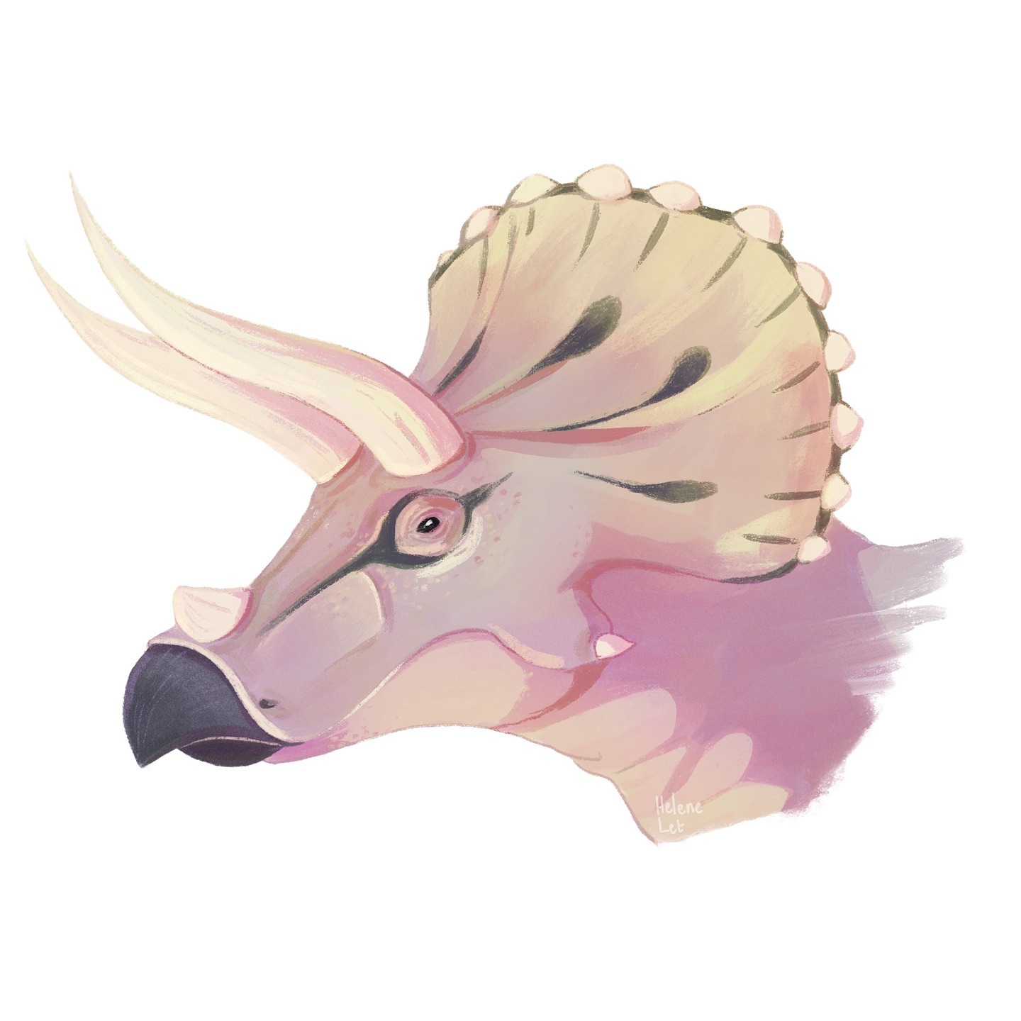 Triceratops today ! 😊
It was my favorite dinosaur when I was child (until I discovered allosaurus haha), and based on your messages, you’re a lot to love triceratops too! Hope you like my version :D
________________________________
Made with @procreate for the @inktober
________________________________
#inktober2024 #thefrenchinktober
#triceratops #ceratopsian #dinosaur #dinosaurart #paleoart #paleoartist #jurassicpark #scienceillustration #scienceillustrator #naturalhistory #museumofnaturalhistory #vulgarisationscientifique #dinoctober #fossifriday #dinovember