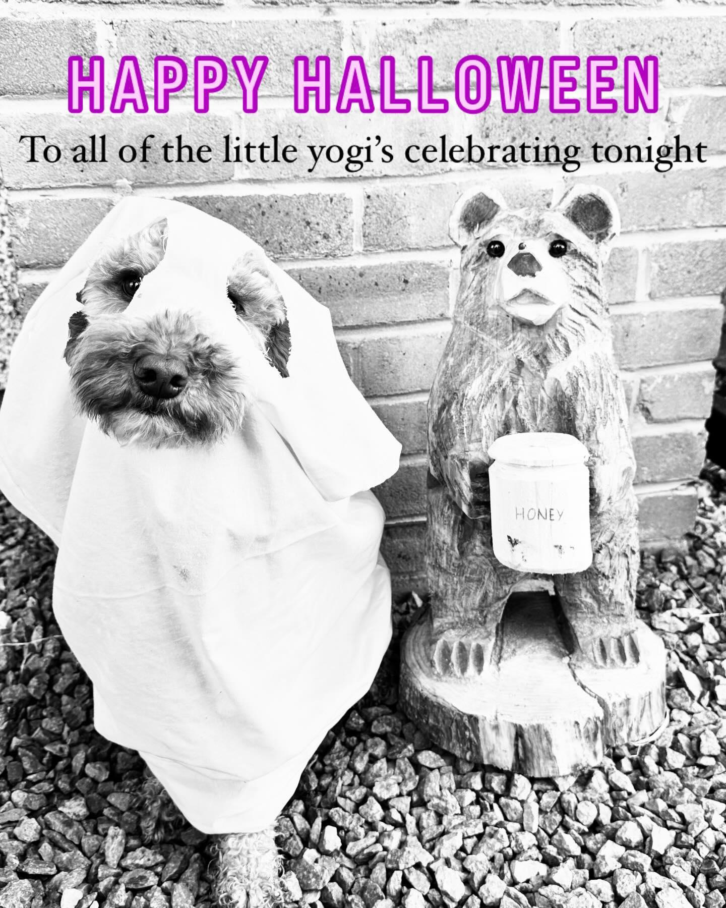 Wishing everyone a Happy Halloween filled with lots of fun and many many treats 🍬🍭👻🎃💀