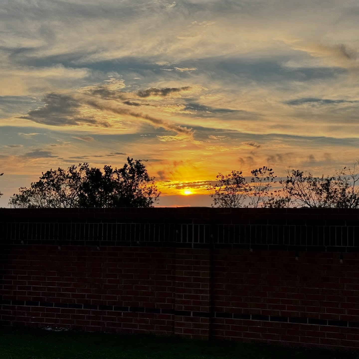 Perfect sunset to kick off Thanksgiving. 🧡 #thanksgiving #grateful