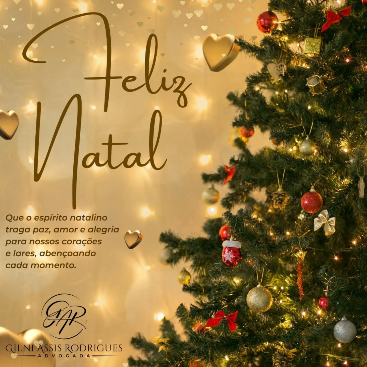 Que esta época seja repleta de momentos de alegria, amor e união ao lado das pessoas que você ama. Desejo que 2025 seja um ano de conquistas, saúde e realizações!
Feliz Natal e um Próspero Ano Novo!
Com carinho,
GAR - Gilni Assis Rodrigues Advocacia Previdenciarista