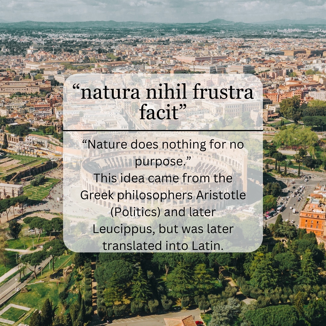 Latin Phrases of the Week #24