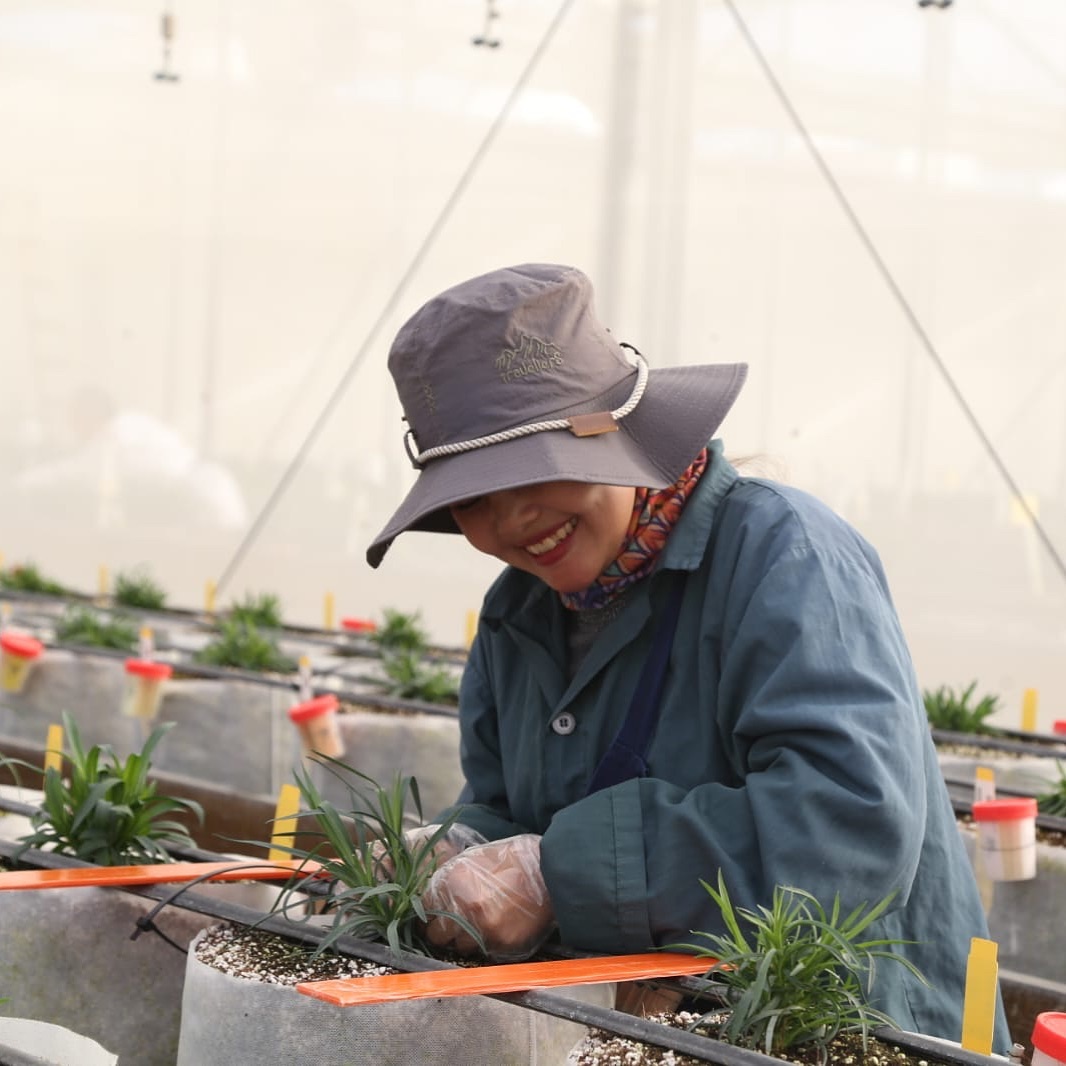 Always work with a smile
.
.
.
.
.
.
.
. #flowers #greenhouse #greenhouselife #smile #happy #work #green #process #love #job #plants #earth #grass