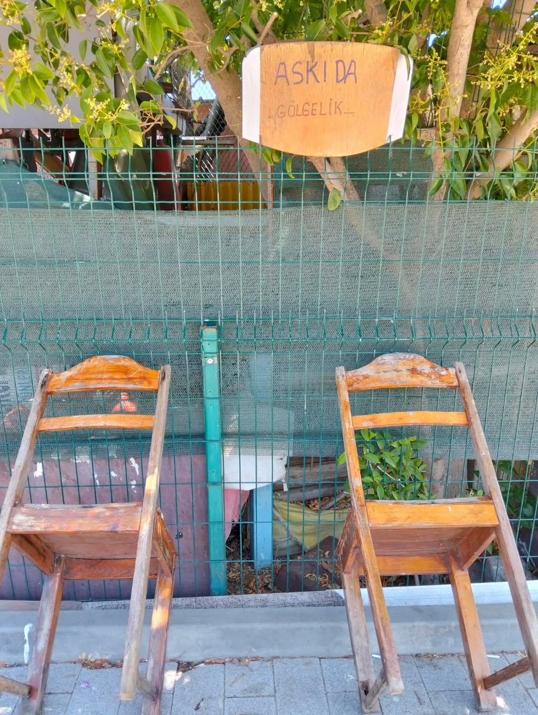 ASKIDA GÖLGELİK
Kendinden başkasını da düşünebilen ve harekete geçen insana selâm olsun. Küçükten başlayarak...
Üstte Ligustrum, limoni aroması bugünlerde sokakları kapladı. At kestaneai, ıhlamur, akasya ve bu bitki ağırlıklı benim arı kızlarımın yayılma ağaçları. Tam bu yüzden sıradışı aroma, lezzet yaptıkları balda
🐝🐝🙏
Kadıköy-Kurbağalıdere.
#kadıköy #moda #yoğurtçu
#tao #taichichuan #yangstilltaichichuan #ego #arıdünyası