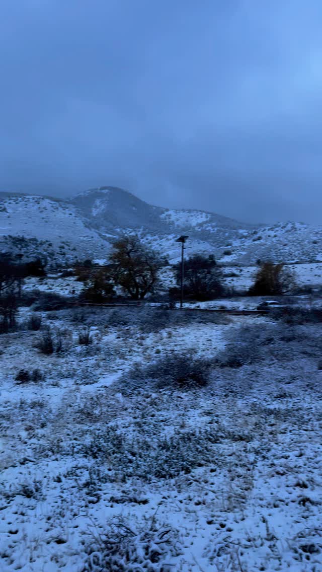 Snowy trail, incredible views, and even a visit from the locals (hi, deer friends)! Couldn’t have asked for a better crew to make this winter wonderland hike so memorable. ❄️✨
#denvercolorado GoodVibesOnly #HikingCrew #WinterWonderland #redrocksamphitheater #denvermountainparks #natgeo #thingstodoindenver #coloradohikes