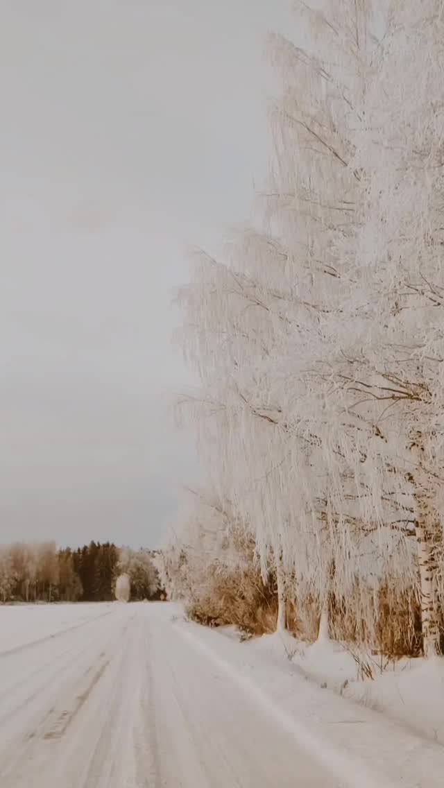 Ruutin Kartano in deep winter sleep. 🤍