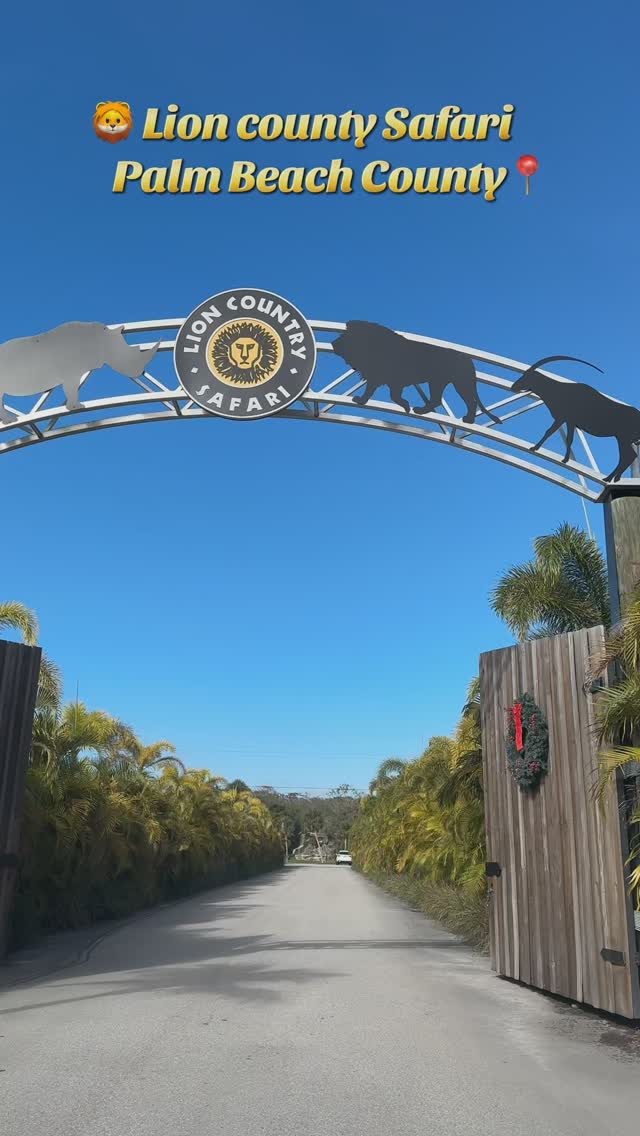 POV: Cruising through @lioncountrysafari 🦁✨ Who needs a passport when you’ve got West Palm?
——
En balade à @lioncountrysafari 🦁✨ Pas besoin de passeport quand on a West Palm !
——
#WildAdventures #LionCountrySafari #SafariVibes #palmbeach #thingstodoinwestpalmbeach #southflorida #safaripark #wpb #thingstodoflorida #visitflorida #southflorida #palmbeachcounty #familyactivities