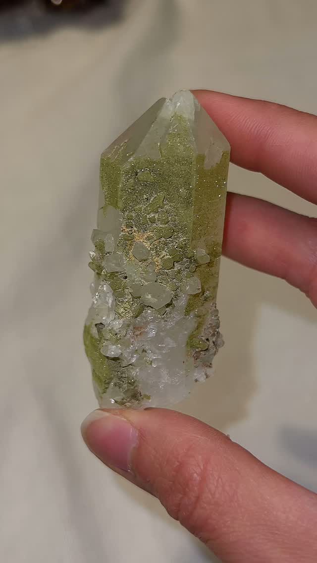 EPIDOTE ON QUARTZ
You asked, I delivered! I've handpicked the most vibrant Epidote on Quartz specimens to elevate your crystal collection.
I’m so drawn the deep greens as it’s grounding to a Taurus like me.
They're seriously underrated and deserve some love!
Available TODAY @ My Tucson Live Sale at 12PM MST