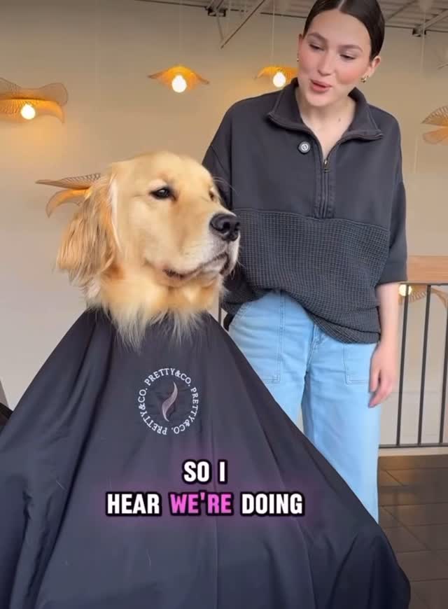 Literally me everyday #shanghai #dvaspa