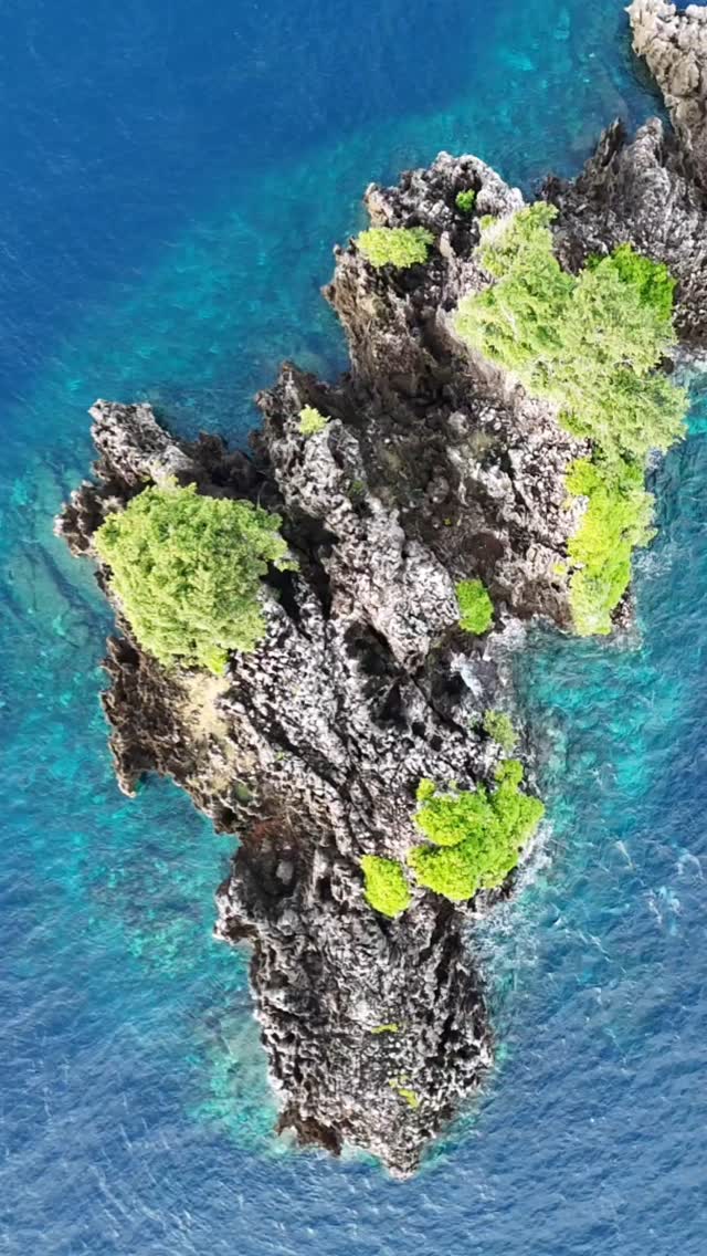 Two Tree Island: Nature's Minimalist Masterpiece
Some places don’t need words—just two trees, soft morning light, and endless ocean.
Floating in the vast blues of Indonesia, Two Tree Island is as simple as it gets. Tiny, with just two trees, standing alone against the horizon. No crowds, no footprints—just nature at its most peaceful.
#TwoTreeIsland #IndonesiaTravel #HiddenParadise #AerialViews #SunriseMagic #RajaAmpat #indonesia