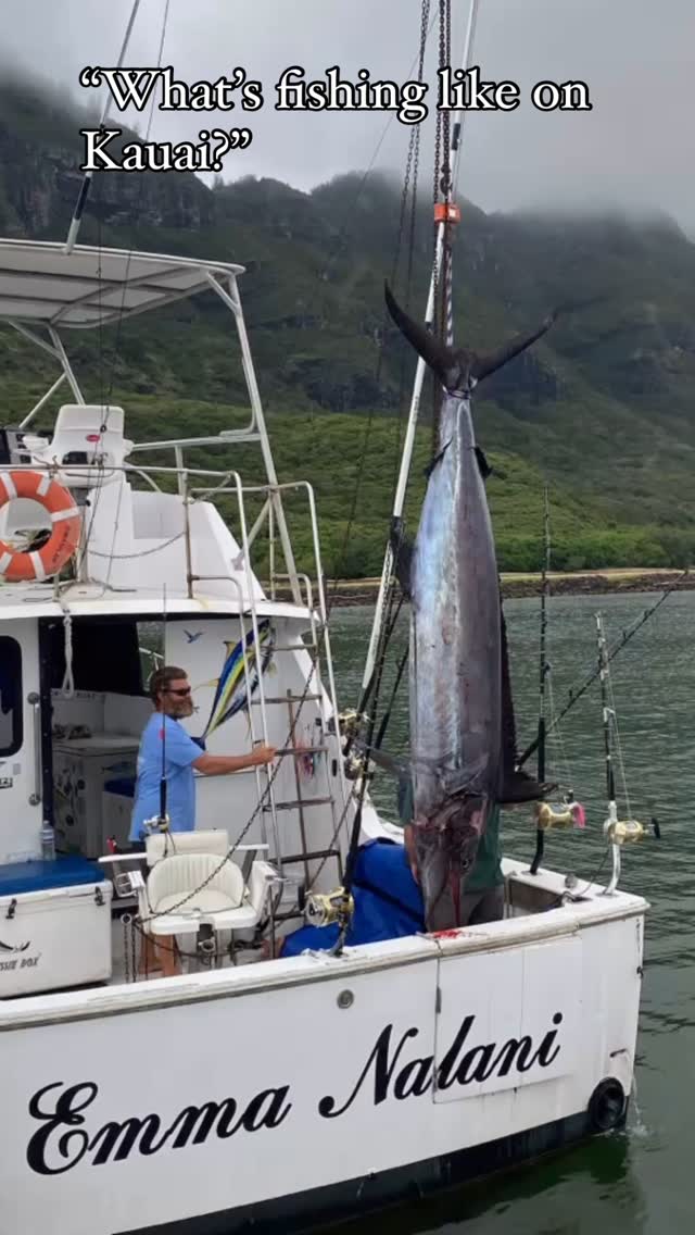 Reel in the island vibes! 🌴 What's fishing like on Kauai? 🎣 Share your Kauai fishing adventures! 🌊 #kauai #fishing #hawaii #gofishkauai #aloha #hawaiistagram #hawaiifishing #kauaifishing #sportfishing #instagood #instagram #instalike