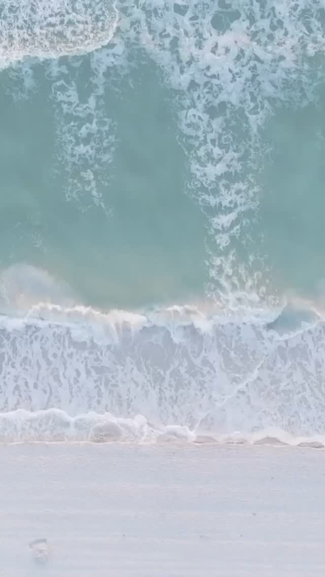 Are you ready? Mules will be back in stock soon!
#summervibes #electricbeachcart #beachmule #beachlife #wilmingtonnc #nc #fl #summer2025 #sunnydays☀️ #letthegoodtimesroll #ncbeaches